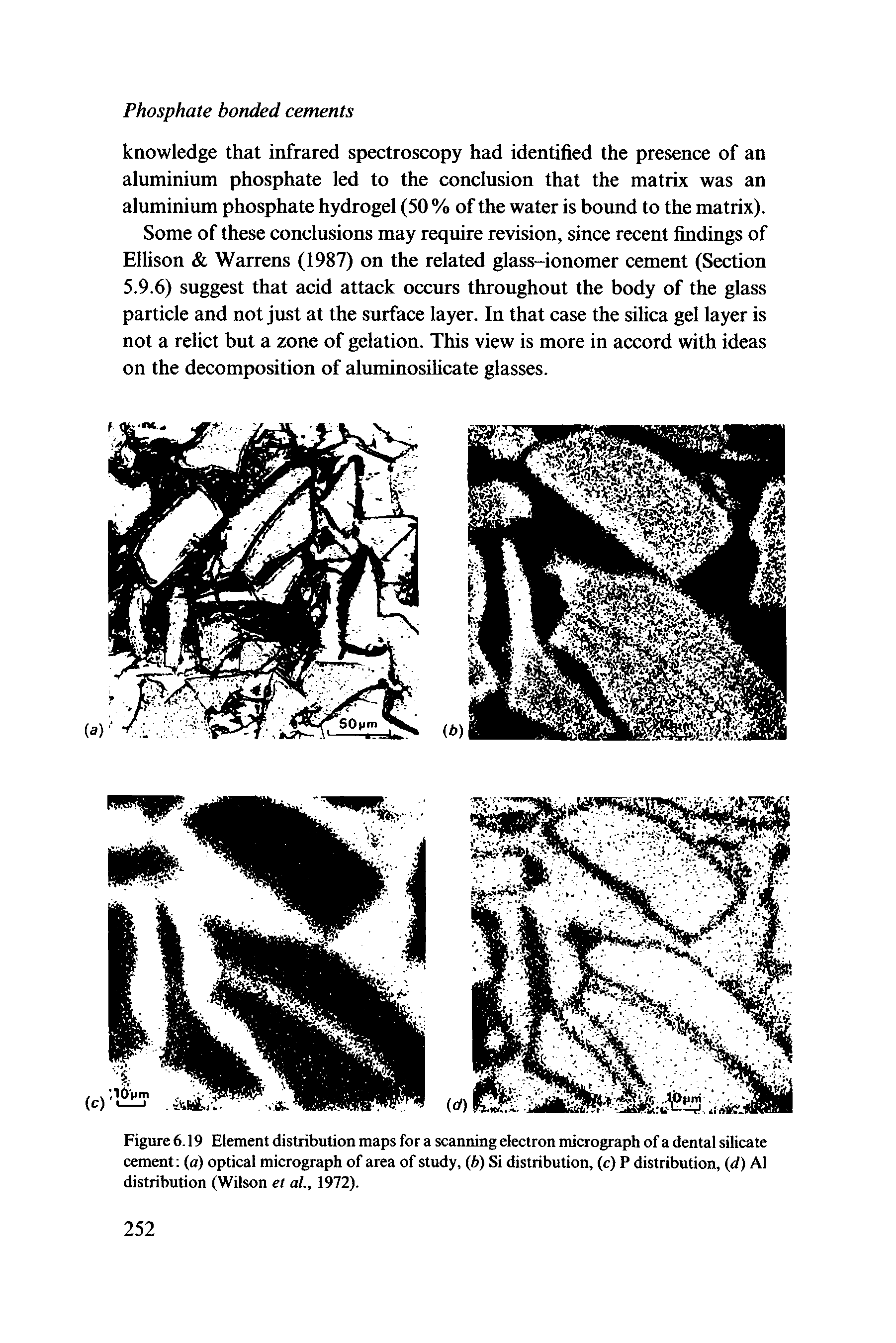 Figure 6.19 Element distribution maps for a scanning electron micrograph of a dental silicate cement (a) optical micrograph of area of study, (b) Si distribution, (c) P distribution, d) A1 distribution (Wilson et at., 1972).