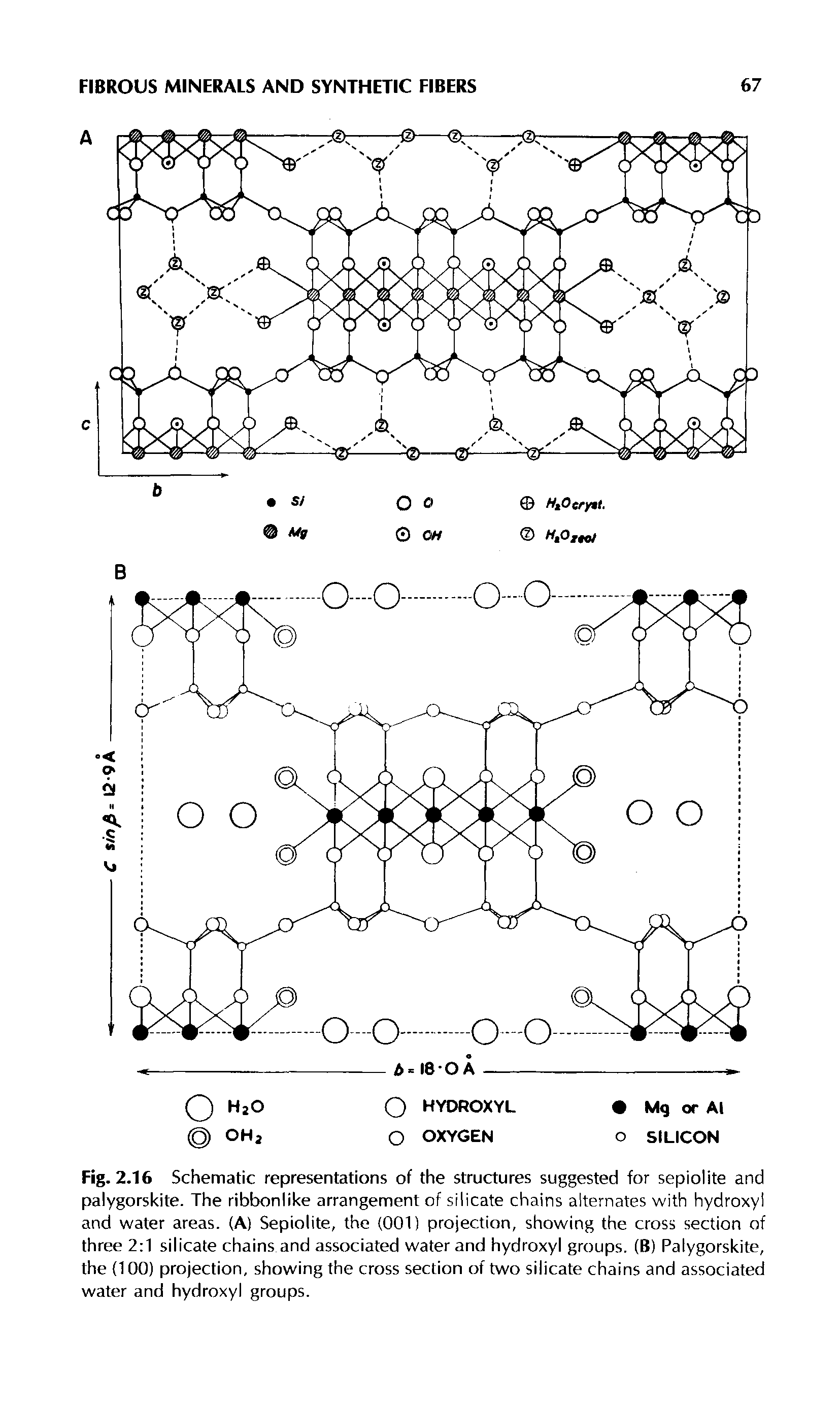 Fig. 2.16 Schematic representations of the structures suggested for sepiolite and palygorskite. The ribbonlike arrangement of silicate chains alternates with hydroxyl and water areas. (A) Sepiolite, the (001) projection, showing the cross section of three 2 1 silicate chains and associated water and hydroxyl groups. (B) Palygorskite, the (100) projection, showing the cross section of two silicate chains and associated water and hydroxyl groups.