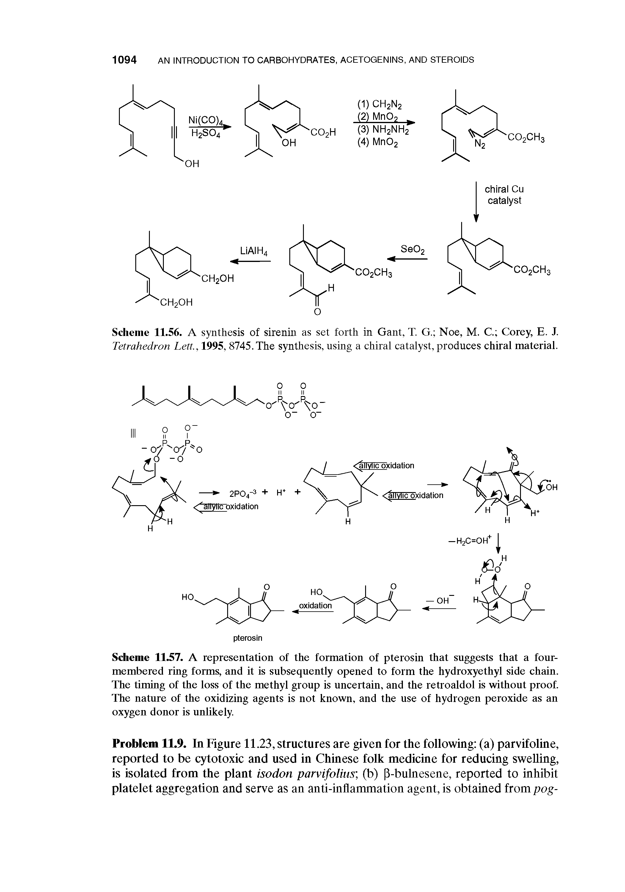 Scheme 11.57. A representation of the formation of pterosin that snggests that a four-membered ring forms, and it is subseqnently opened to form the hydroxyethyl side chain. The timing of the loss of the methyl group is uncertain, and the retroaldol is without proof. The nature of the oxidizing agents is not known, and the use of hydrogen peroxide as an oxygen donor is unlikely.