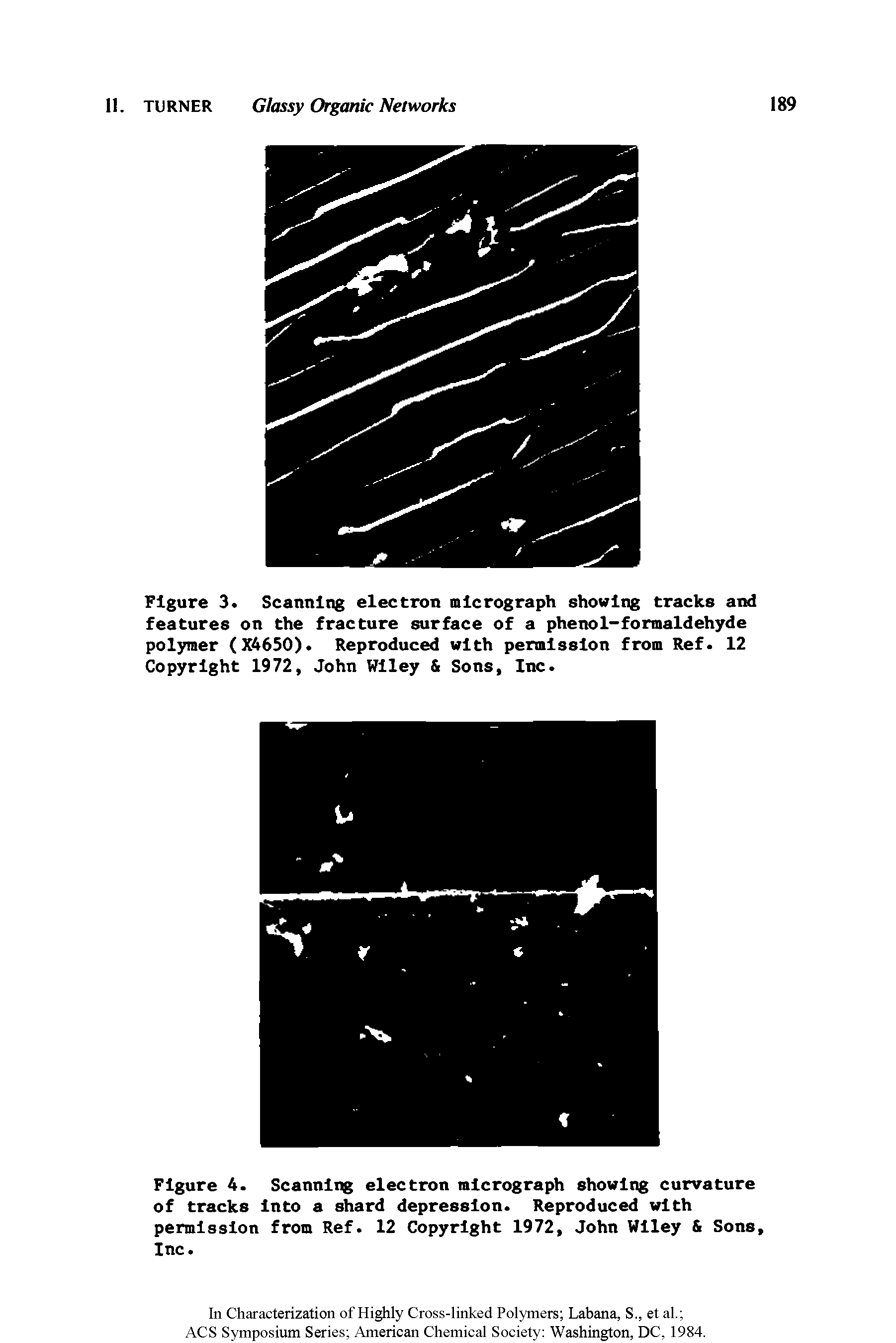 Figure 3. Scanning electron micrograph showing tracks and features on the fracture surface of a phenol-formaldehyde polymer (X4650). Reproduced with permission from Ref. 12 Copyright 1972, John Wiley Sons, Inc.