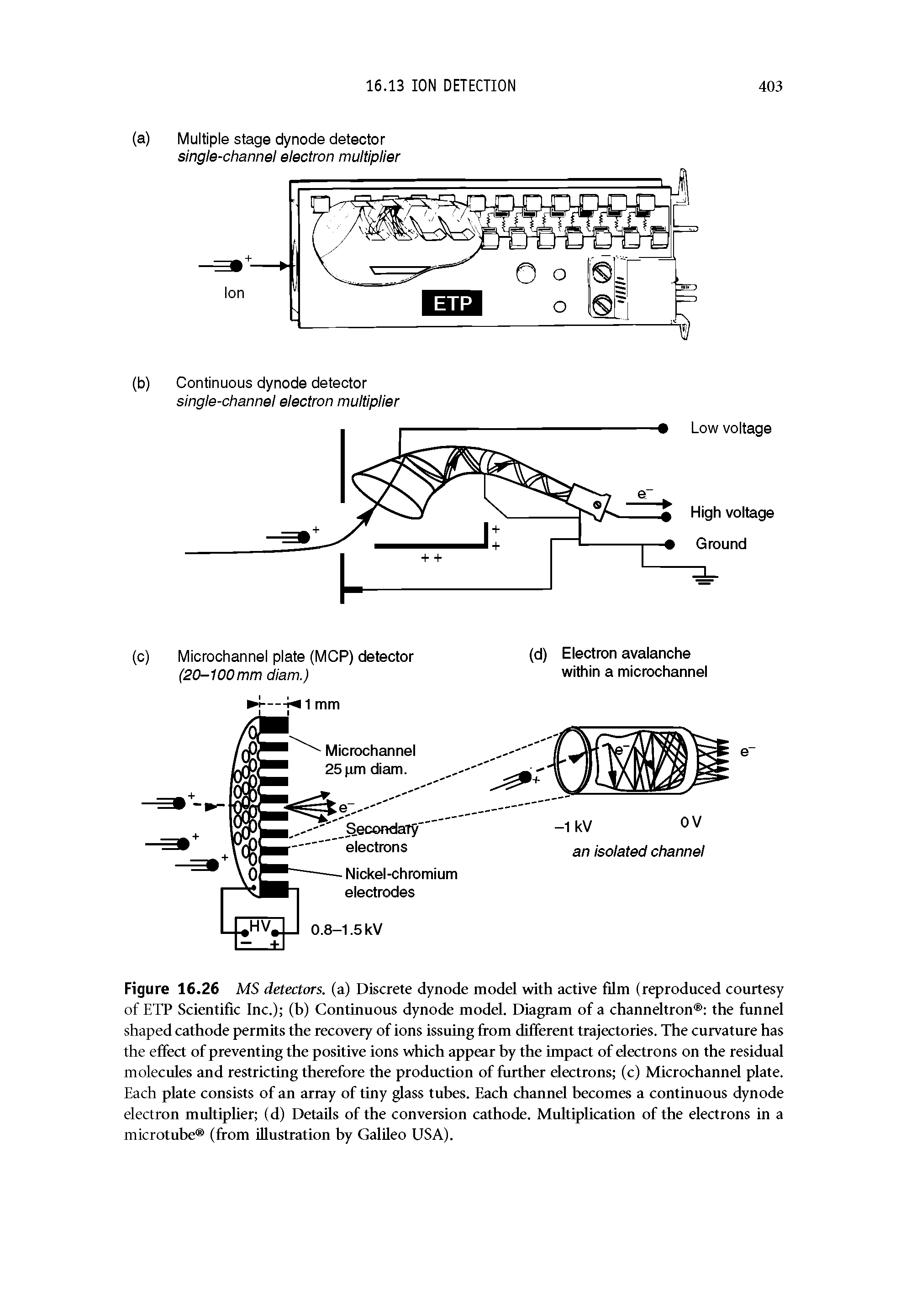 Figure 16.26 MS detectors, (a) Discrete dynode model with active film (reproduced courtesy of ETP Scientific Inc.) (b) Continuous dynode model. Diagram of a channeltron the funnel shaped cathode permits the recovery of ions issuing from different trajectories. The curvature has the effect of preventing the positive ions which appear by the impact of electrons on the residual molecules and restricting therefore the production of further electrons (c) MicroChannel plate. Each plate consists of an array of tiny glass tubes. Each channel becomes a continuous dynode electron multiplier (d) Details of the conversion cathode. Multiplication of the electrons in a microtube (from illustration by Galileo USA).