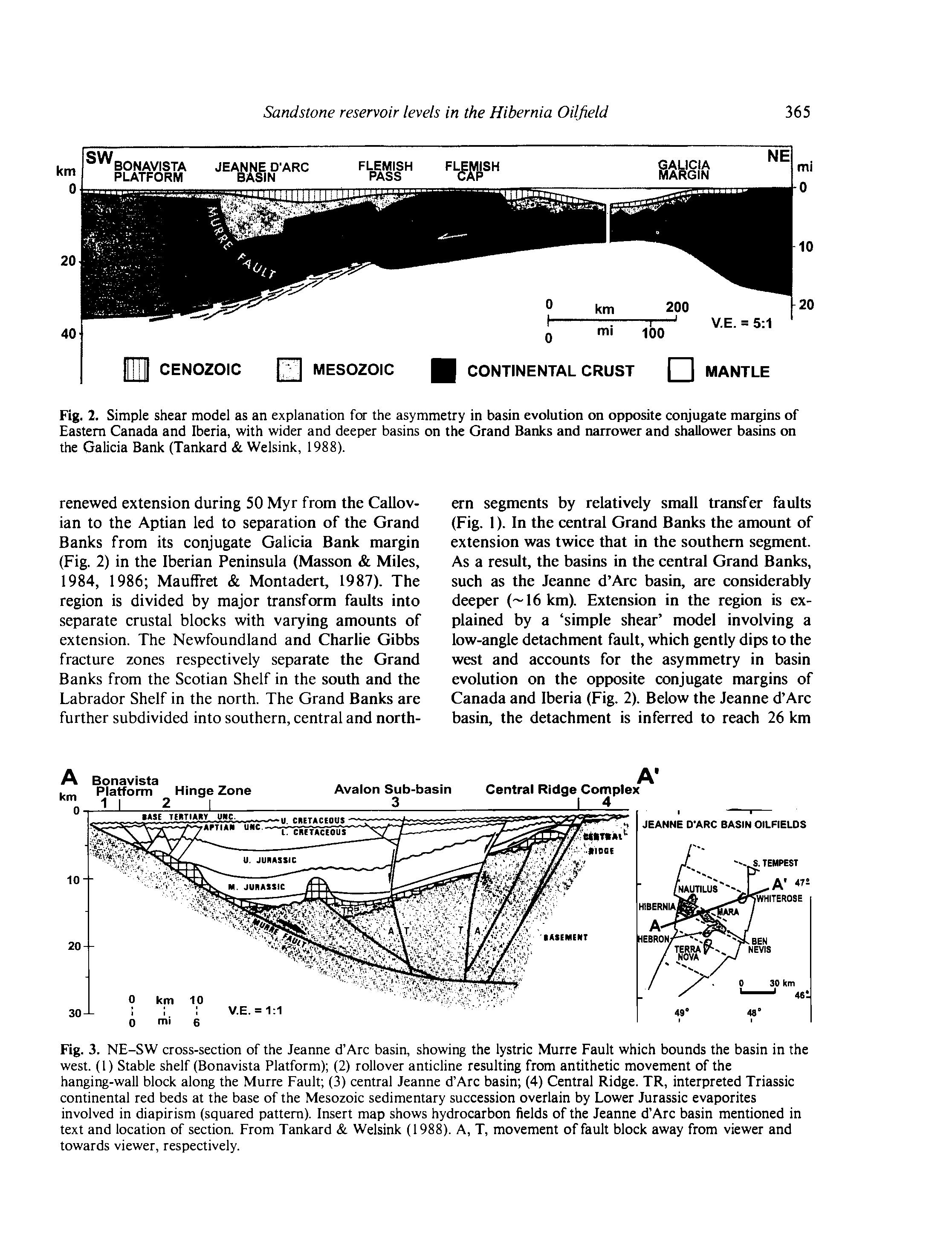 Fig. 3. NE-SW cross-section of the Jeanne d Arc basin, showing the lystric Murre Fault which bounds the basin in the west. (1) Stable shelf (Bonavista Platform) (2) rollover anticline resulting from antithetic movement of the hanging-wall block along the Murre Fault (3) central Jeanne d Arc basin (4) Central Ridge. TR, interpreted Triassic continental red beds at the base of the Mesozoic sedimentary succession overlain by Lower Jurassic evaporites involved in diapirism (squared pattern). Insert map shows hydrocarbon fields of the Jeanne d Arc basin mentioned in text and location of section. From Tankard Welsink (1988). A, T, movement of fault block away from viewer and towards viewer, respectively.