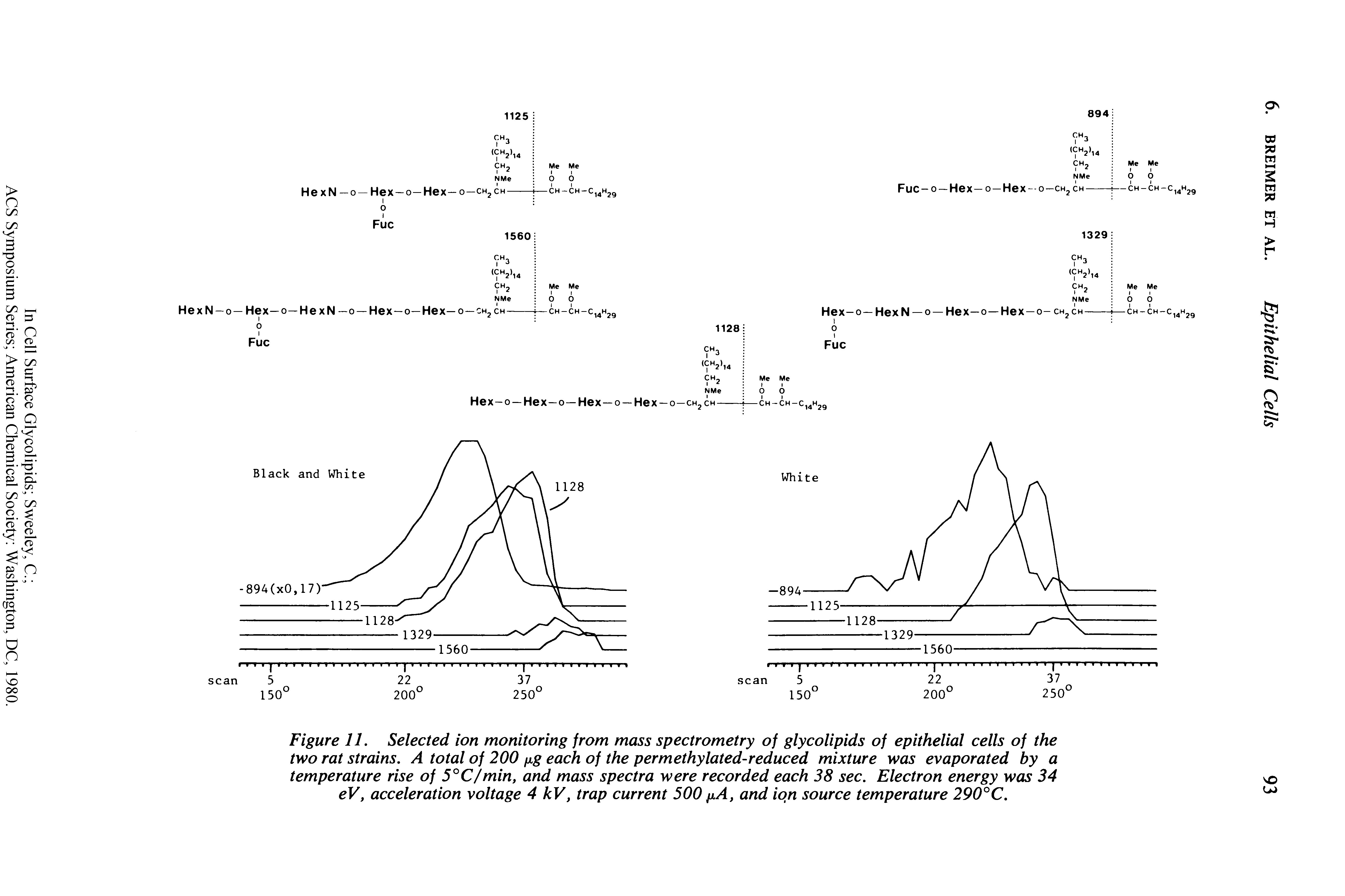 Figure 11. Selected ion monitoring from mass spectrometry of glycolipids of epithelial cells of the two rat strains. A total of 200 fig each of the permethylated-reduced mixture was evaporated by a temperature rise of 5°C/min, and mass spectra were recorded each 38 sec. Electron energy was 34 eV, acceleration voltage 4 kV, trap current 500 fiA, and ion source temperature 290°C.