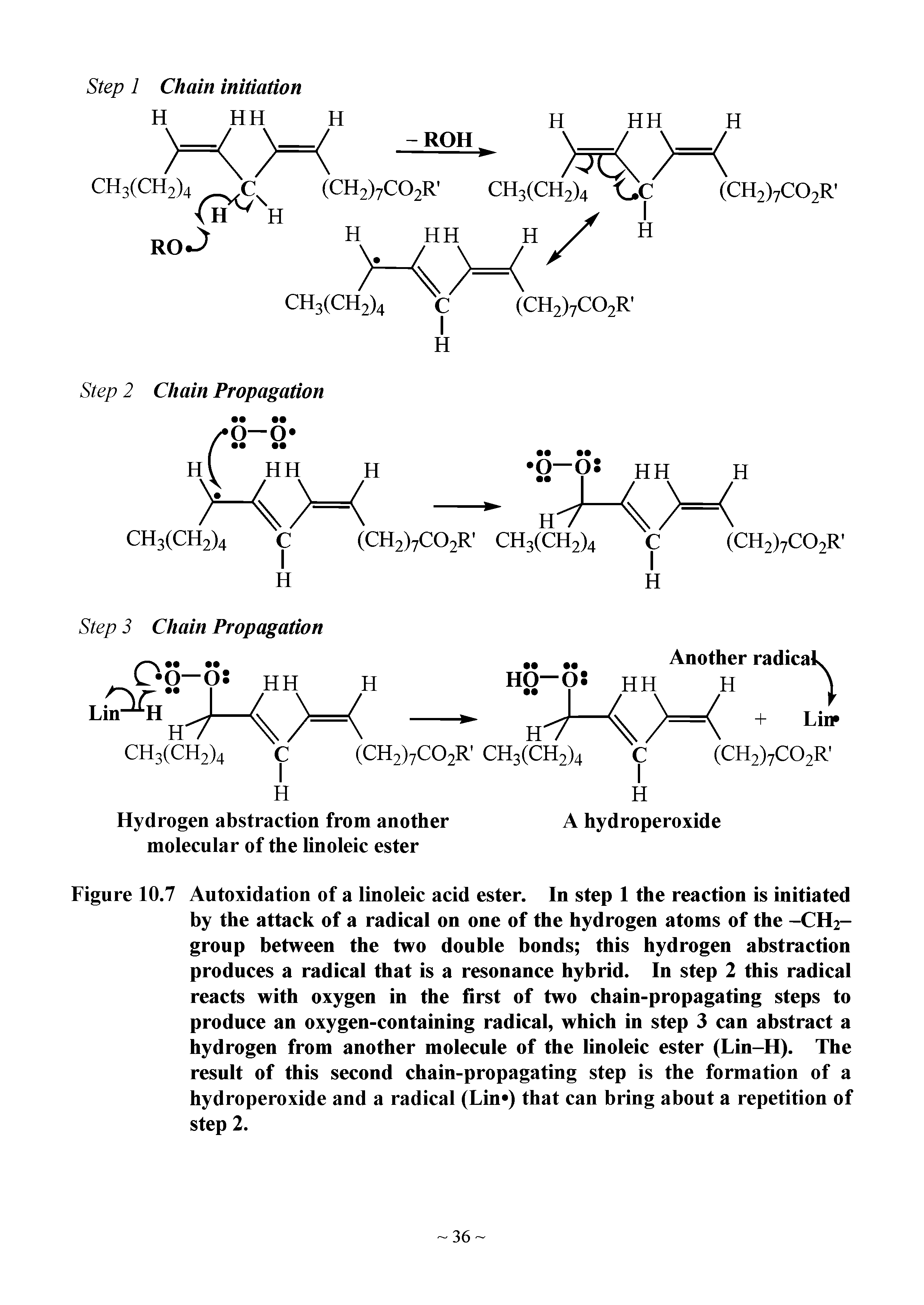 Figure 10.7 Autoxidation of a linoleic acid ester. In step 1 the reaction is initiated by the attack of a radical on one of the hydrogen atoms of the -CH2-group between the two double bonds this hydrogen abstraction produces a radical that is a resonance hybrid. In step 2 this radical reacts with oxygen in the first of two chain-propagating steps to produce an oxygen-containing radical, which in step 3 can abstract a hydrogen from another molecule of the linoleic ester (Lin-H). The result of this second chain-propagating step is the formation of a hydroperoxide and a radical (Lin ) that can bring about a repetition of step 2.