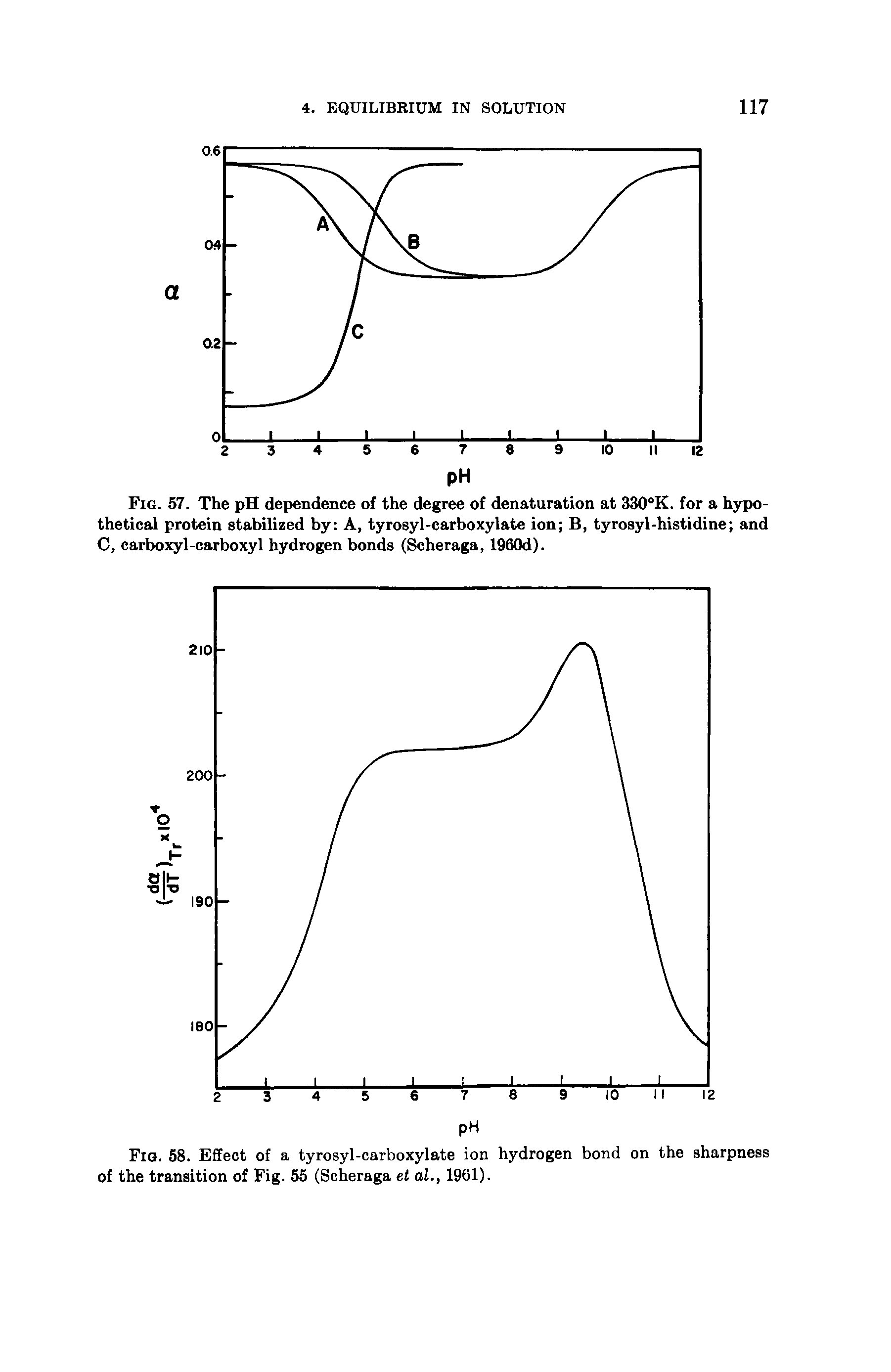 Fig. 58. Effect of a tyrosyl-carboxylate ion hydrogen bond on the sharpness of the transition of Fig. 55 (Scheraga el al., 1961).