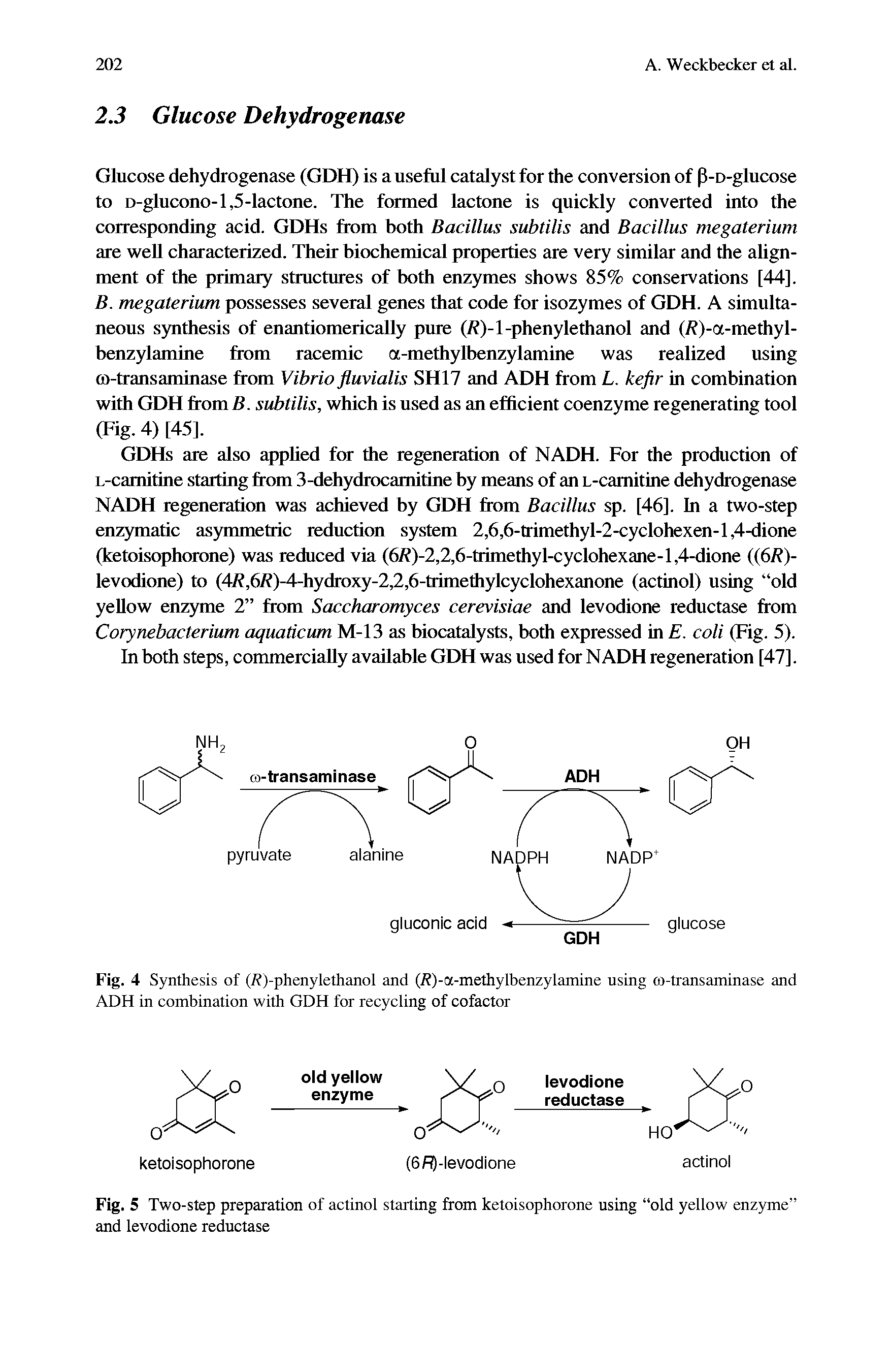 Fig. 5 Two-step preparation of actinol starting from ketoisophorone using old yellow enzyme and levodione reductase...