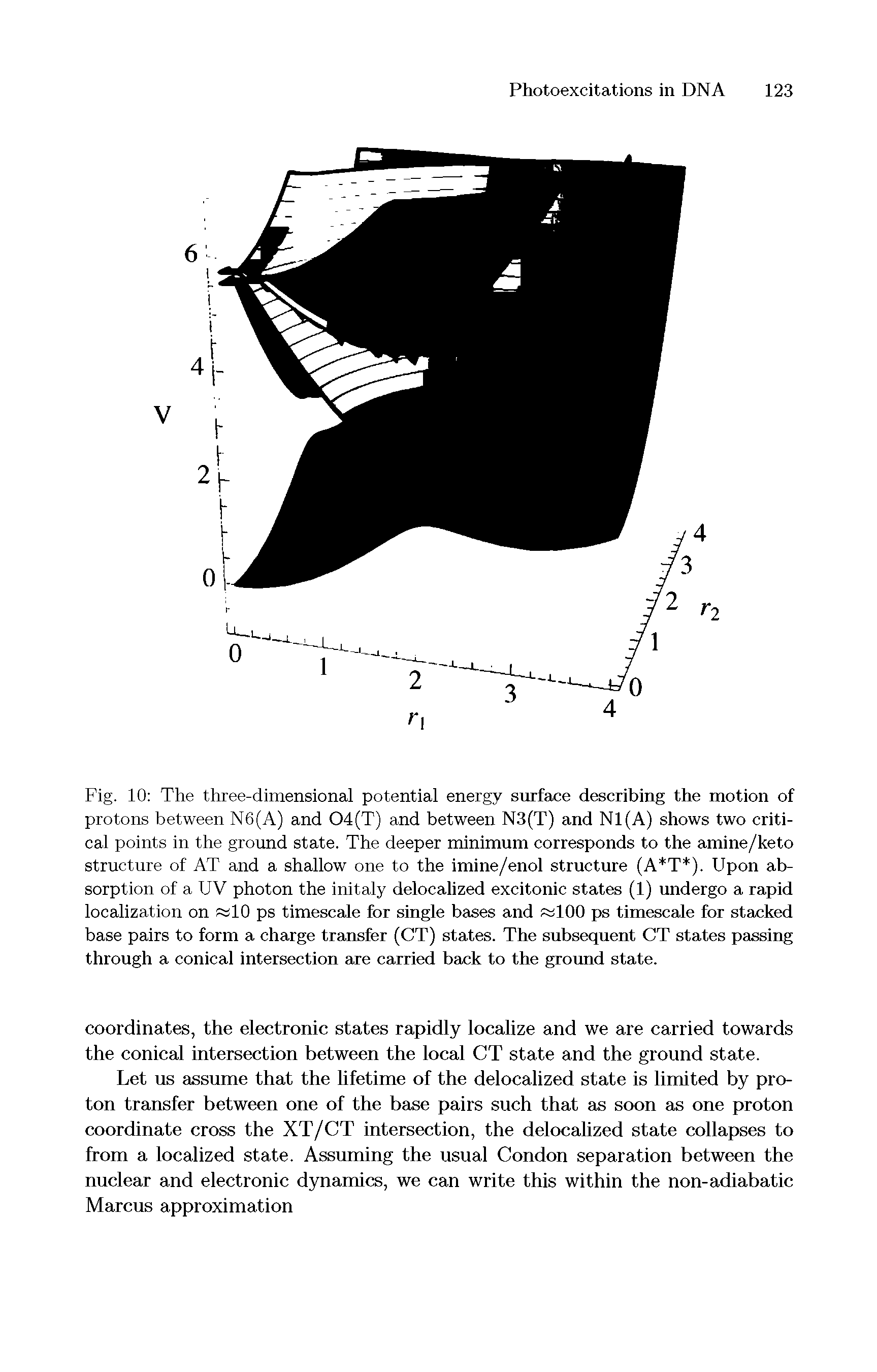 Fig. 10 The three-dimensional potential energy surface describing the motion of protons between N6(A) and 04(T) and between N3(T) and N1(A) shows two critical points in the ground state. The deeper minimum corresponds to the amine/keto structure of AT and a shallow one to the imine/enol structure (A T ). Upon absorption of a UV photon the initaly delocalized excitonic states (1) undergo a rapid localization on f 10 ps timescale for single bases and 100 ps timescale for stacked base pairs to form a charge transfer (CT) states. The subsequent CT states passing through a conical intersection are carried back to the ground state.