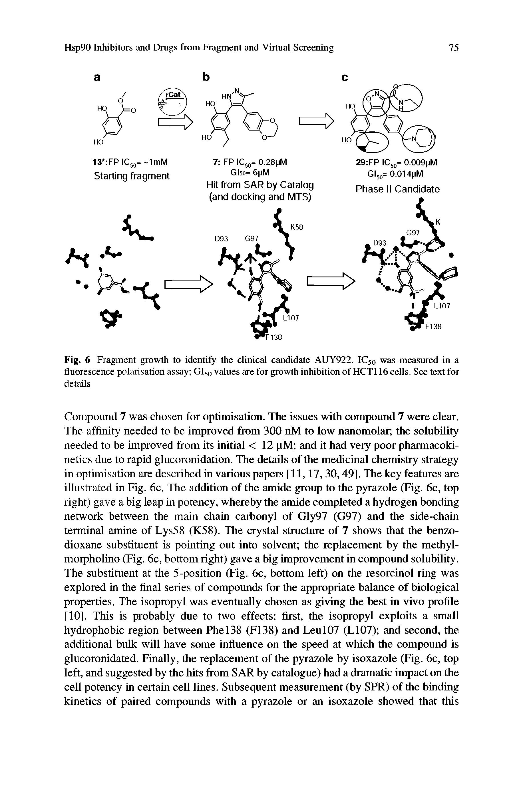 Fig. 6 Fragment growth to identify the clinical candidate AUY922. IC50 was measured in a fluorescence polarisation assay GI50 values are for growth inhibition of HCT116 cells. See text for details...