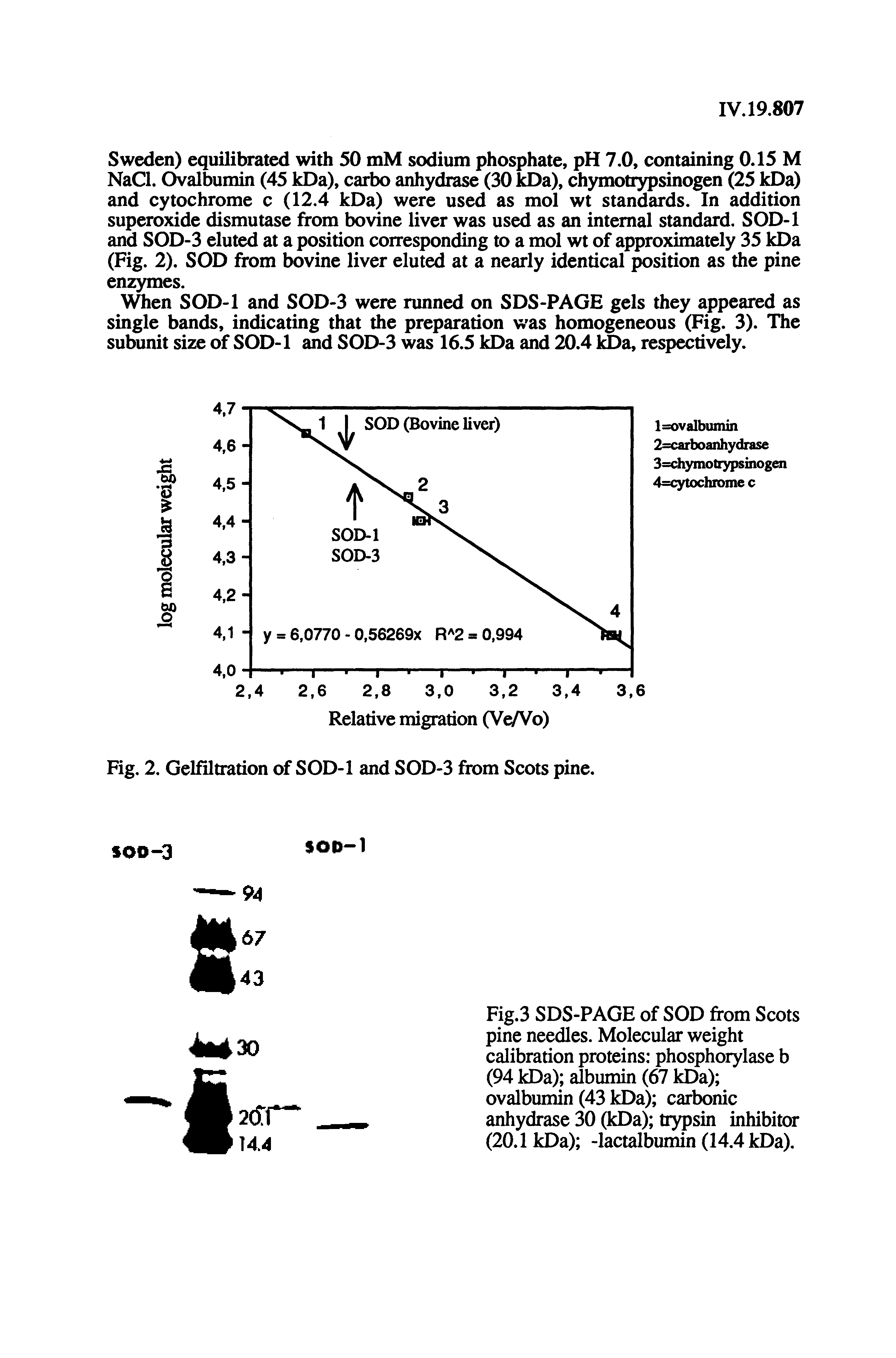 Fig.3 SDS-PAGE of SOD from Scots pine needles. Molecular weight calibration proteins phosphorylase b (94 kDa) albumin (67 kDa) ovalbumin (43 kDa) carbonic anhydrase 30 (kDa) trypsin inhibitor (20.1 kDa) -lactalbumin (14.4 kDa).