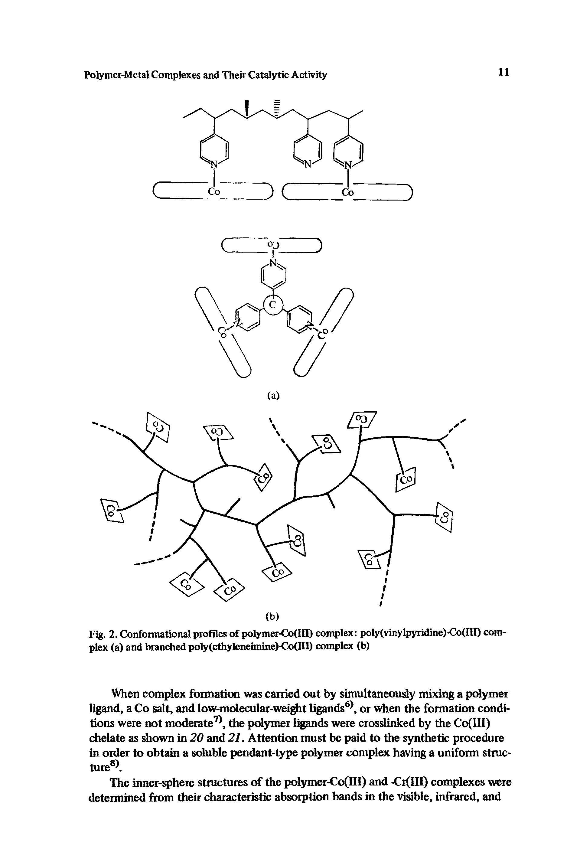 Fig. 2. Conformational profiles of polymer-Oo(IIl) complex poly(vinylpyridine)-Co(III) complex (a) and branched poly(ethyleneimine)-Co(IlI) complex (b)...