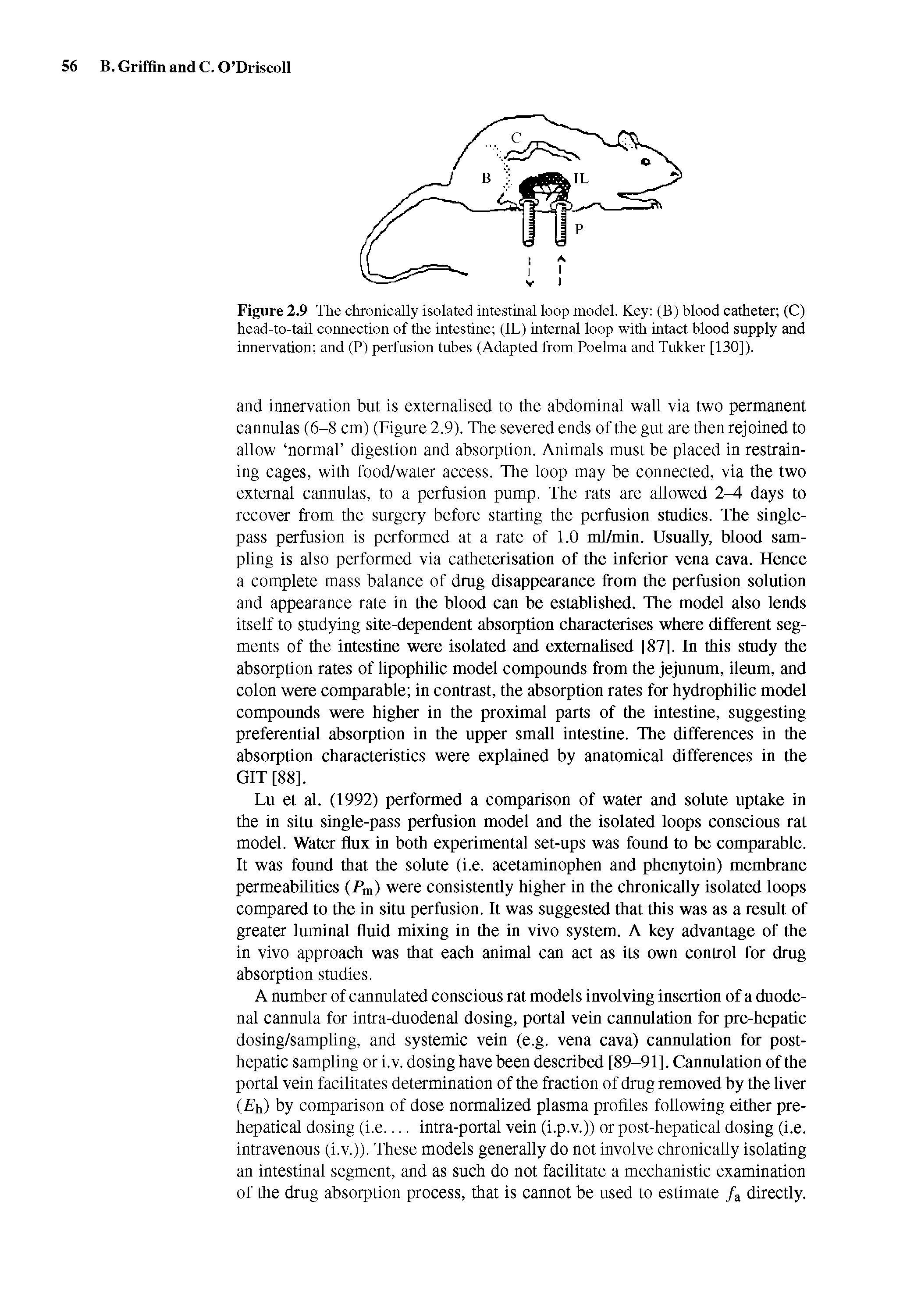 Figure 2.9 The chronically isolated intestinal loop model. Key (B) blood catheter (C) head-to-tail connection of the intestine (IL) internal loop with intact blood supply and innervation and (P) perfusion tubes (Adapted from Poelma and Tukker [130]).