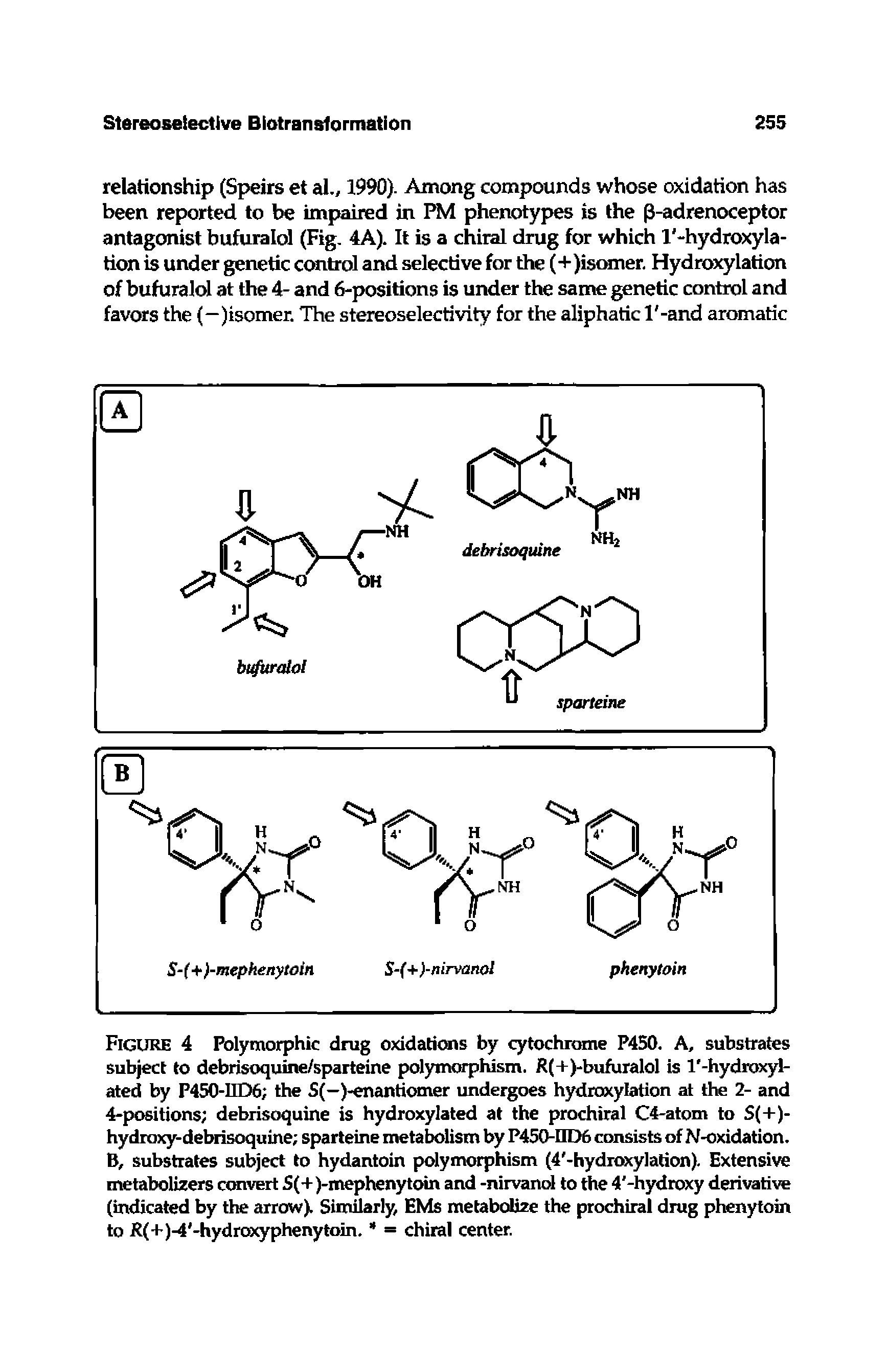 Figure 4 Polymorphic drug oxidations by cytochrome P450. A, substrates subject to debrisoquine/sparteine polymorphism. R(+)-bufuralol is I -hydroxyl-ated by P450-IID6 the S(—)-enantiomer undergoes hydroxylation at the 2- and 4-positions debrisoquine is hydroxylated at the prochiral C4-atom to S(+)-hydroxy-debrisoquine sparteine metabolism by P450-IID6 consists of N-oxidation. B, substrates subject to hydantoin polymorphism (4 -hydroxylation). Extensive metabolizers convert S(+)-mephenytoin and -nirvanol to the 4 -hydroxy derivative (indicated by the arrow). Similarly, EMs metabolize the prochiral drug phenytoin to R(+)-4 -hydroxyphenytoin. = chiral center.
