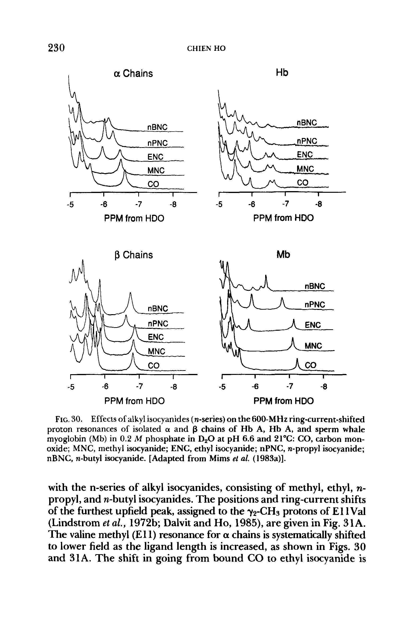Fig. 30. Effects of alkyl isocyanides (n-series) on the 600-MHz ring-current-shifted proton resonances of isolated a and p chains of Hb A, Hb A, and sperm whale myoglobin (Mb) in 0.2 M phosphate in D20 at pH 6.6 and 21°C CO, carbon monoxide MNC, methyl isocyanide ENC, ethyl isocyanide nPNC, n-propyl isocyanide nBNC, n-butyl isocyanide. [Adapted from Mims el al. (1983a)].