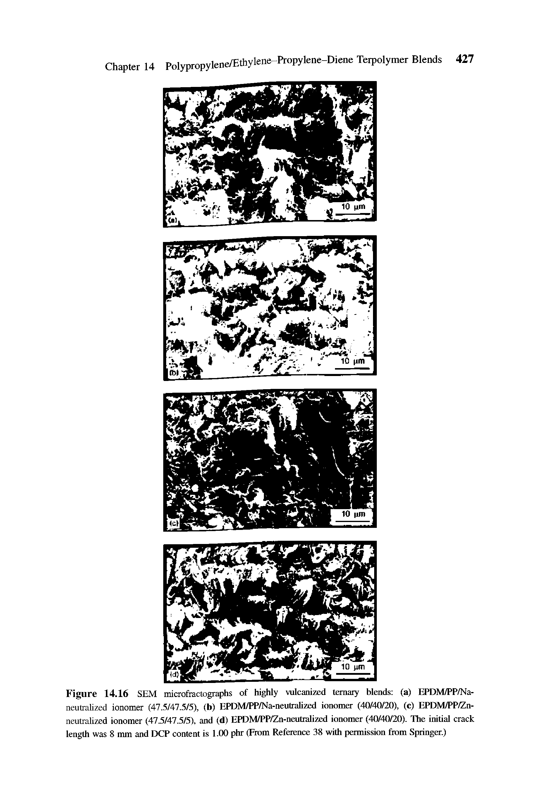 Figure 14.16 SEM microfractographs of highly vulcanized ternary blends (a) EPDM/PP/Na-neutraUzed ionomer (47.5/47.5/5), (b) EPDM/PP/Na-neutralized ionomer (40/40/20), (c) EPDM/PP/Zn-neutrahzed ionomer (47.5/47.5/5), and (d) EPDM/PP/Zn-neutraUzed ionomer (40/40/20). The initial crack length was 8 mm and DCP content is 1.00 phr (From Reference 38 with permission from Springer.)...