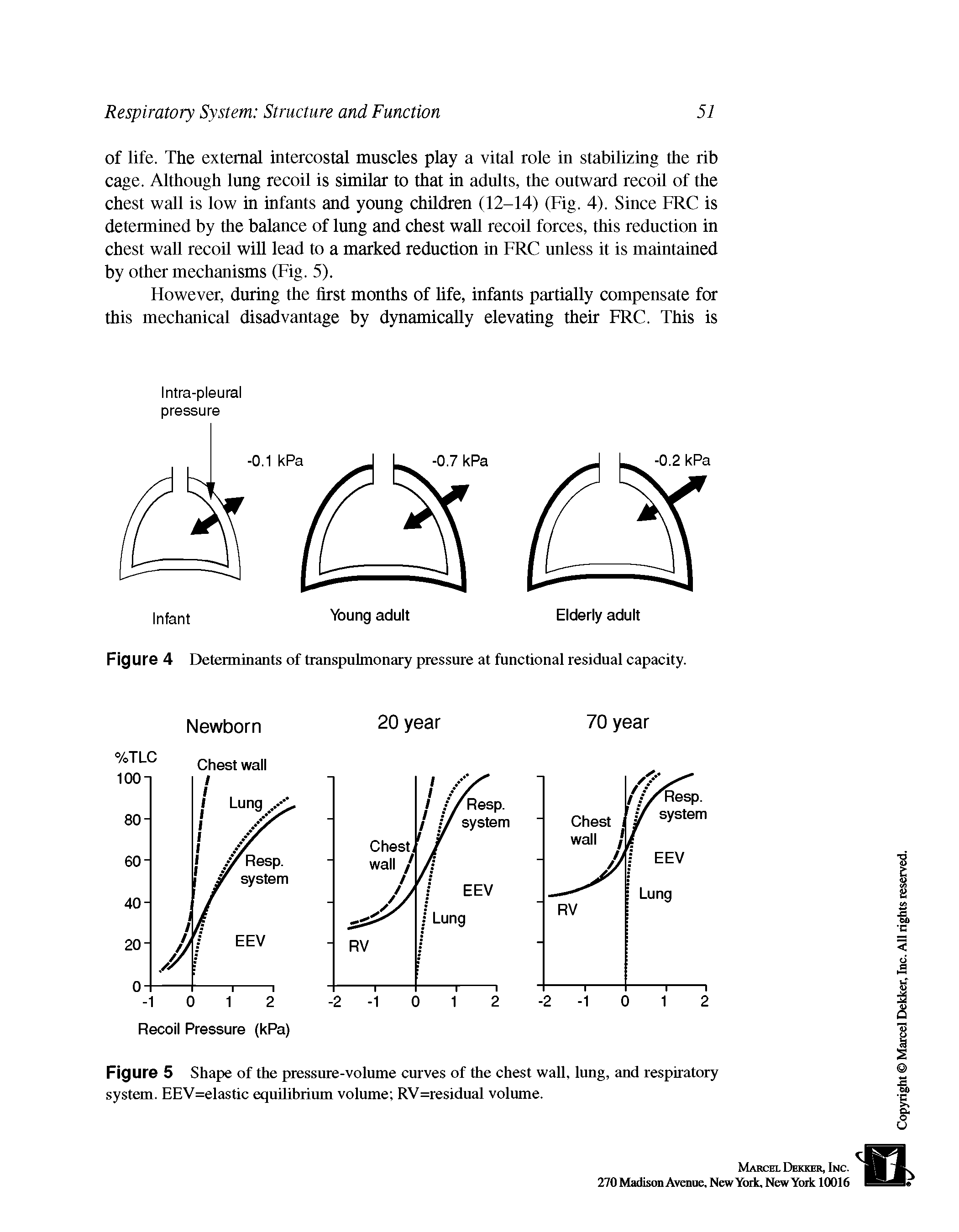 Figure 4 Determinants of transpulmonary pressure at functional residual capacity.