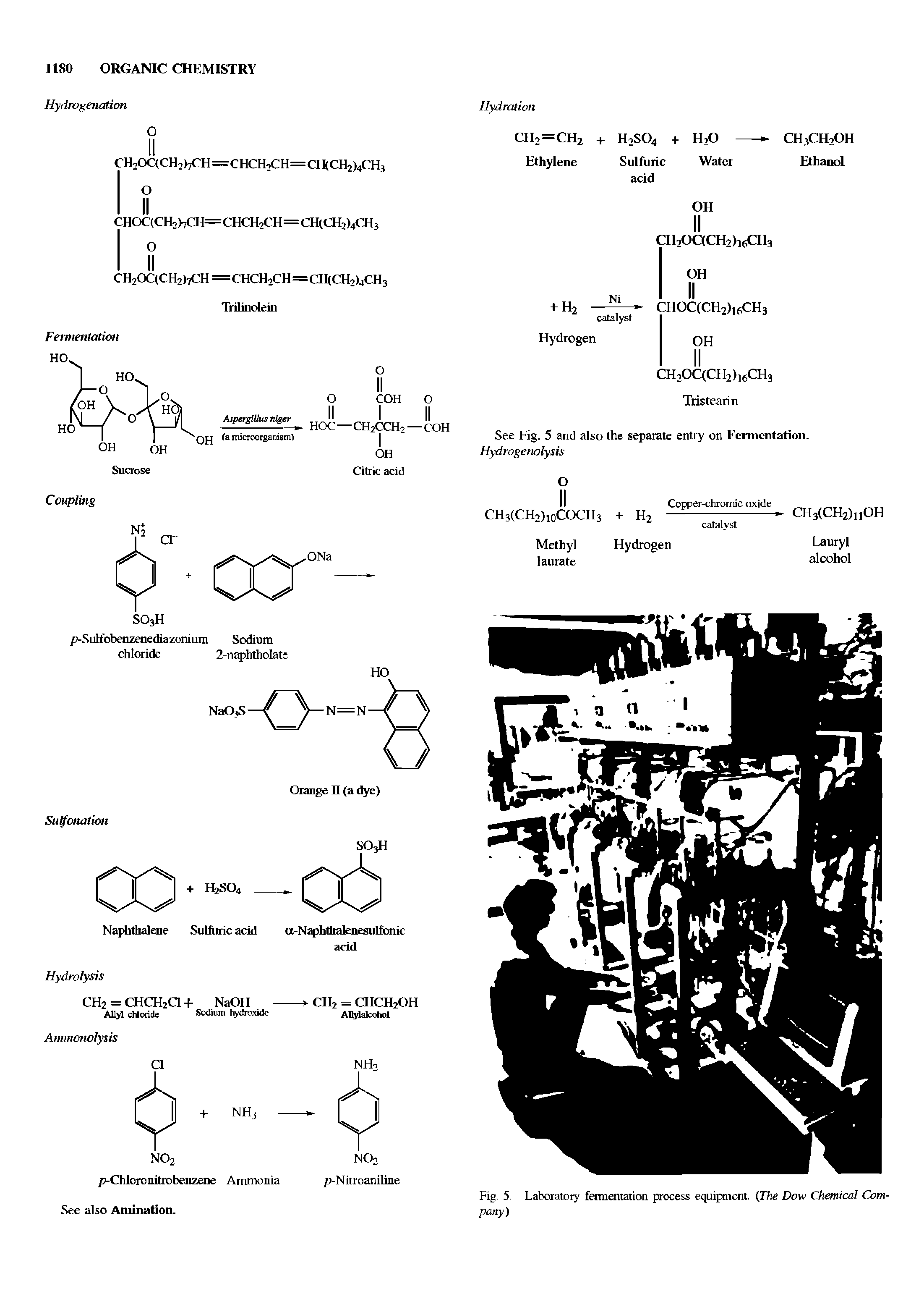 Fig. 5. Laboratory fermentation process equipment. (The Dow Chemical Company)...