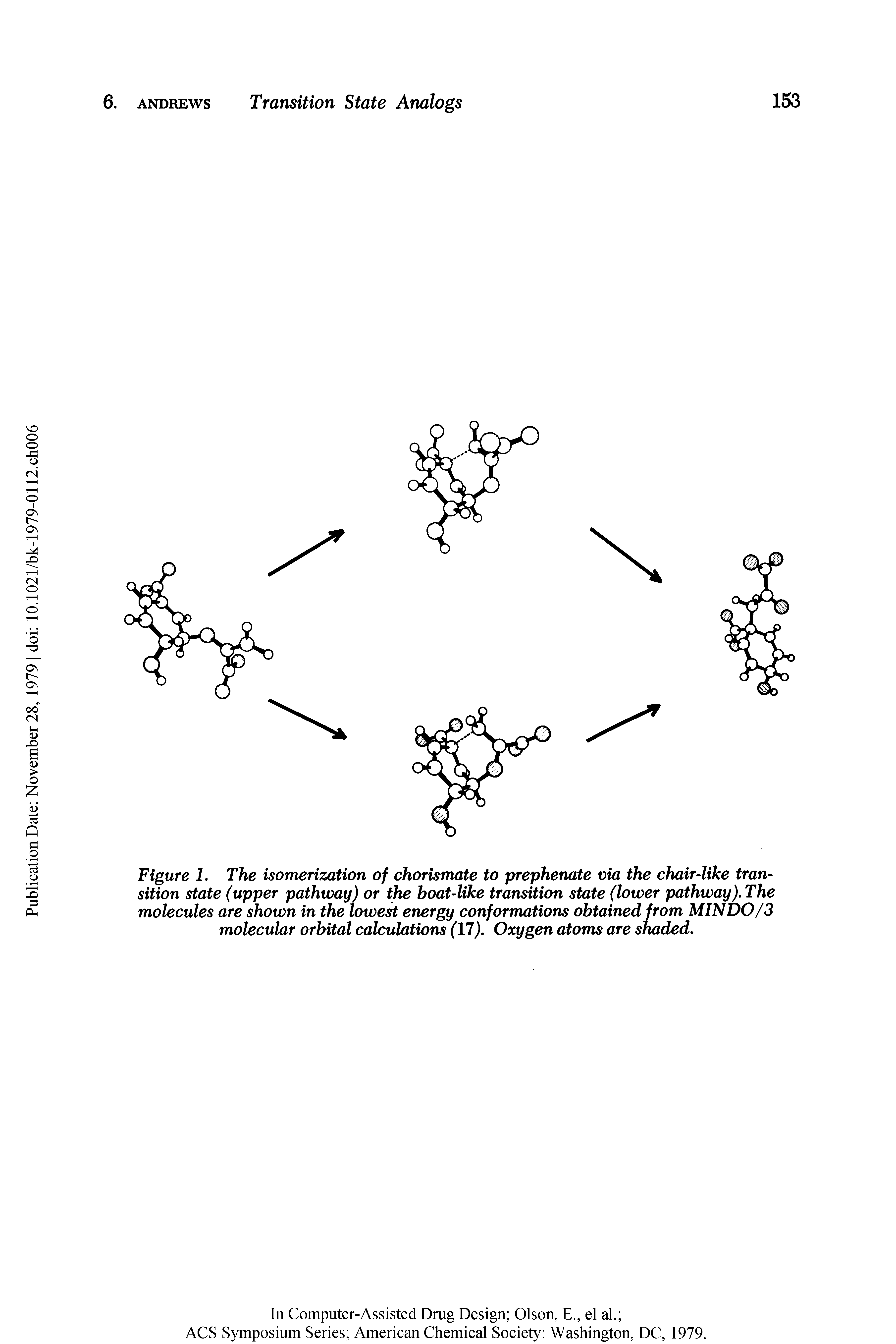 Figure 1. The isomerization of chorismate to prephenate via the chair-like transition state (upper pathway) or the boat-like transition state (lower pathway). The molecules are shown in the lowest energy conformations obtained from MIN DO/3 molecular orbital calculations (17). Oxygen atoms are shaded.