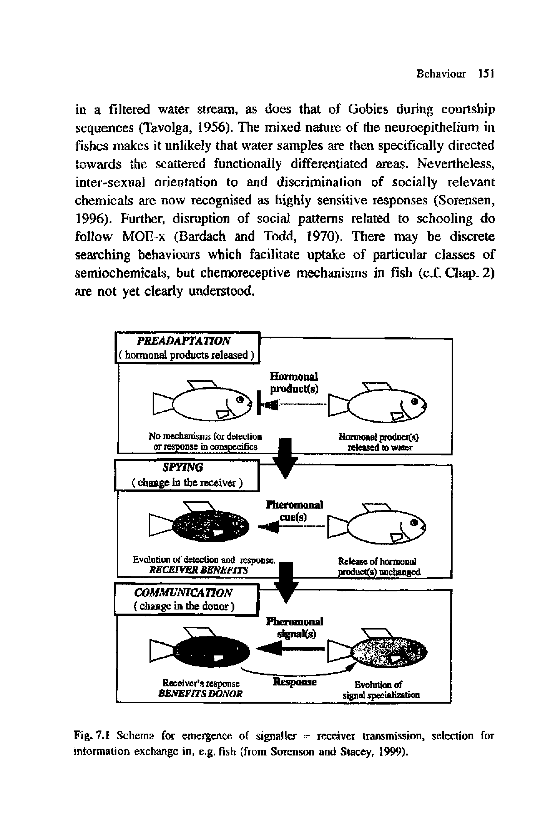 Fig. 7.1 Schema for emergence of signaller = receiver transmission, selection for information exchange in, e.g. Fish (from Sorenson and Stacey, 1999).