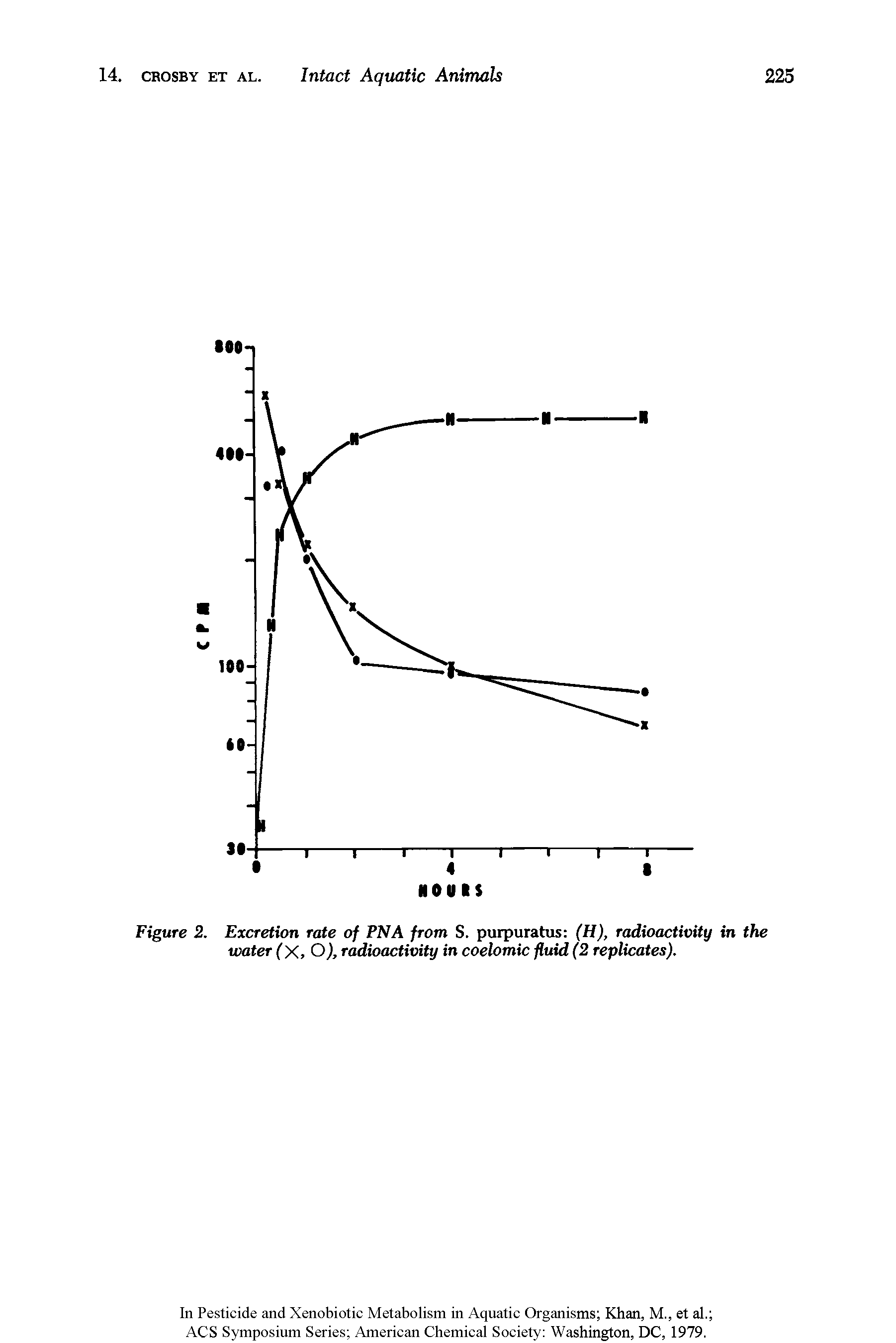 Figure 2. Excretion rate of PNA from S. purpuratus (H), radioactivity in the water (X, O), radioactivity in coelomic fluid (2 replicates).