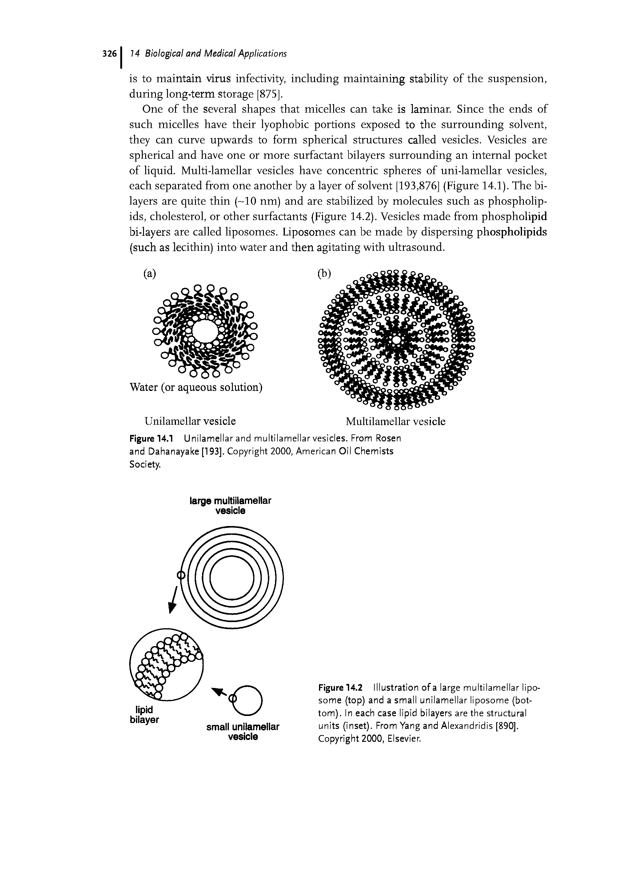 Figure 14.2 Illustration of a large multilamellar liposome (top) and a small unilamellar liposome (bottom). In each case lipid bilayers are the structural units (inset). From Yang and Alexandridis [890]. Copyright 2000, Elsevier.