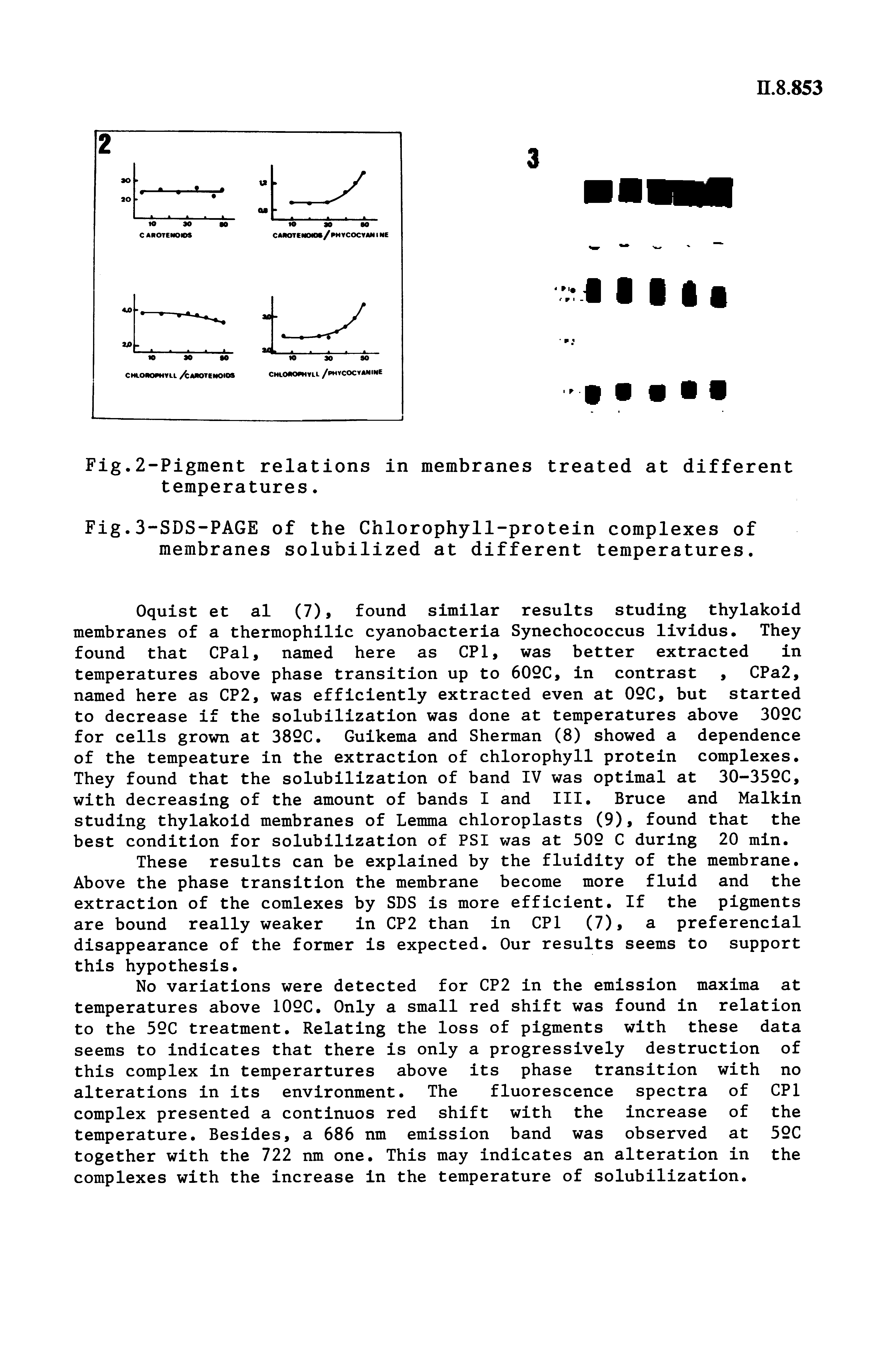 Fig.3-SDS-PAGE of the Chlorophyll-protein complexes of membranes solubilized at different temperatures.