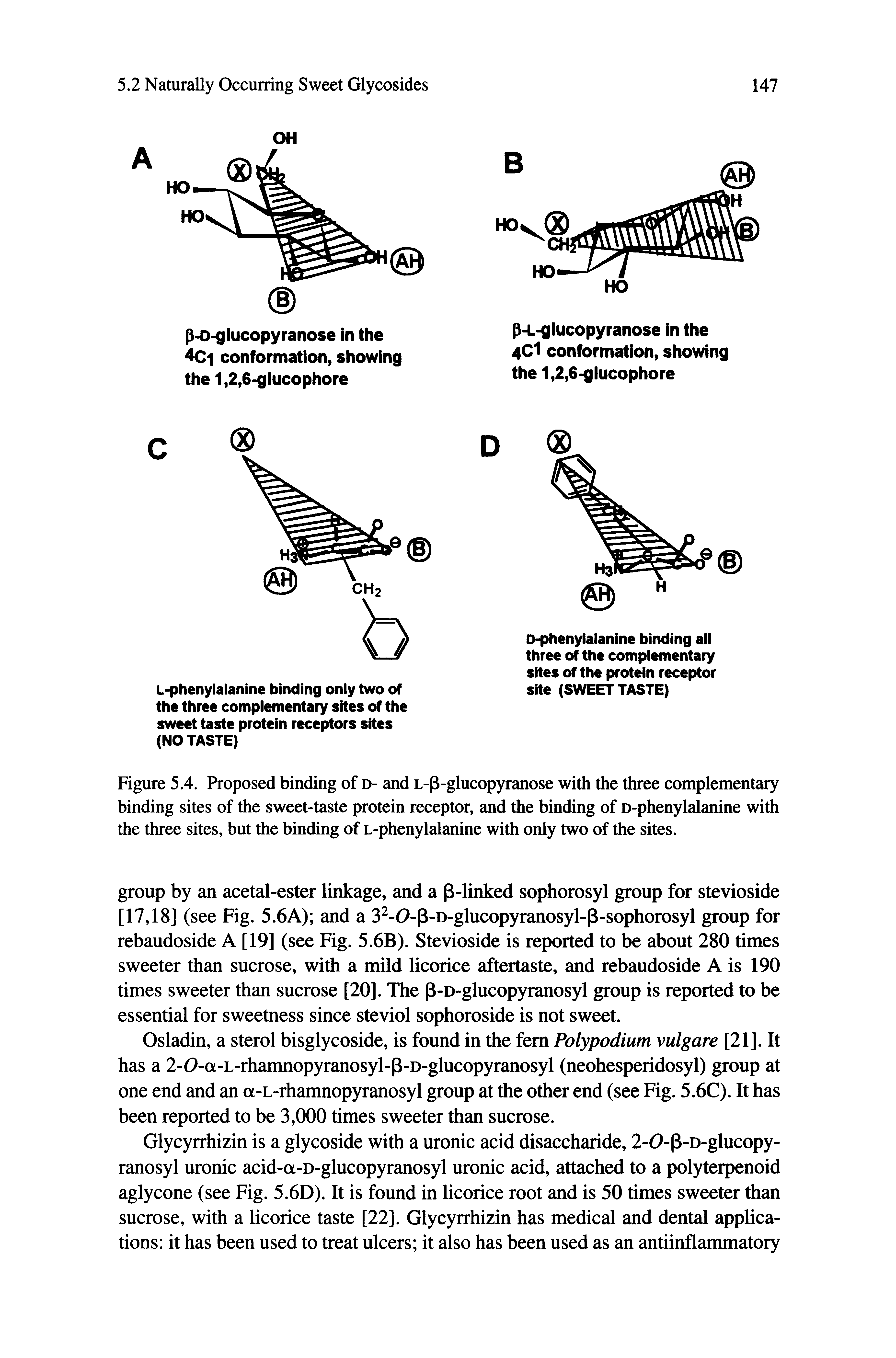 Figure 5.4. Proposed binding of d- and L-p-glucopyranose with the three complementary binding sites of the sweet-taste protein receptor, and the binding of D-phenylalanine with the three sites, but the binding of L-phenylalanine with only two of the sites.