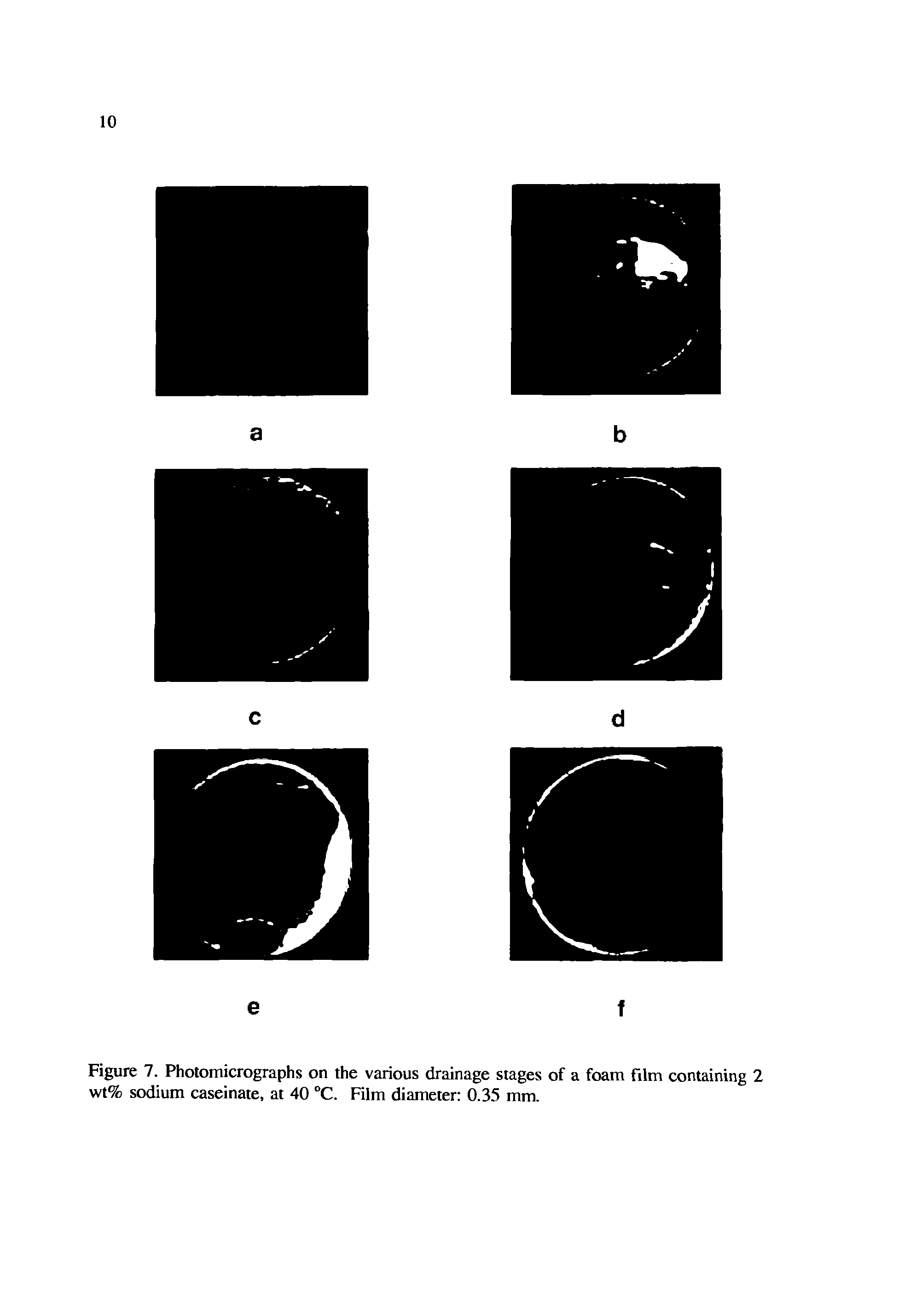 Figure 7. Photomicrographs on the various drainage stages of a foam film containing 2 wt% sodium caseinate, at 40 °C. Film diameter 0.35 mm.
