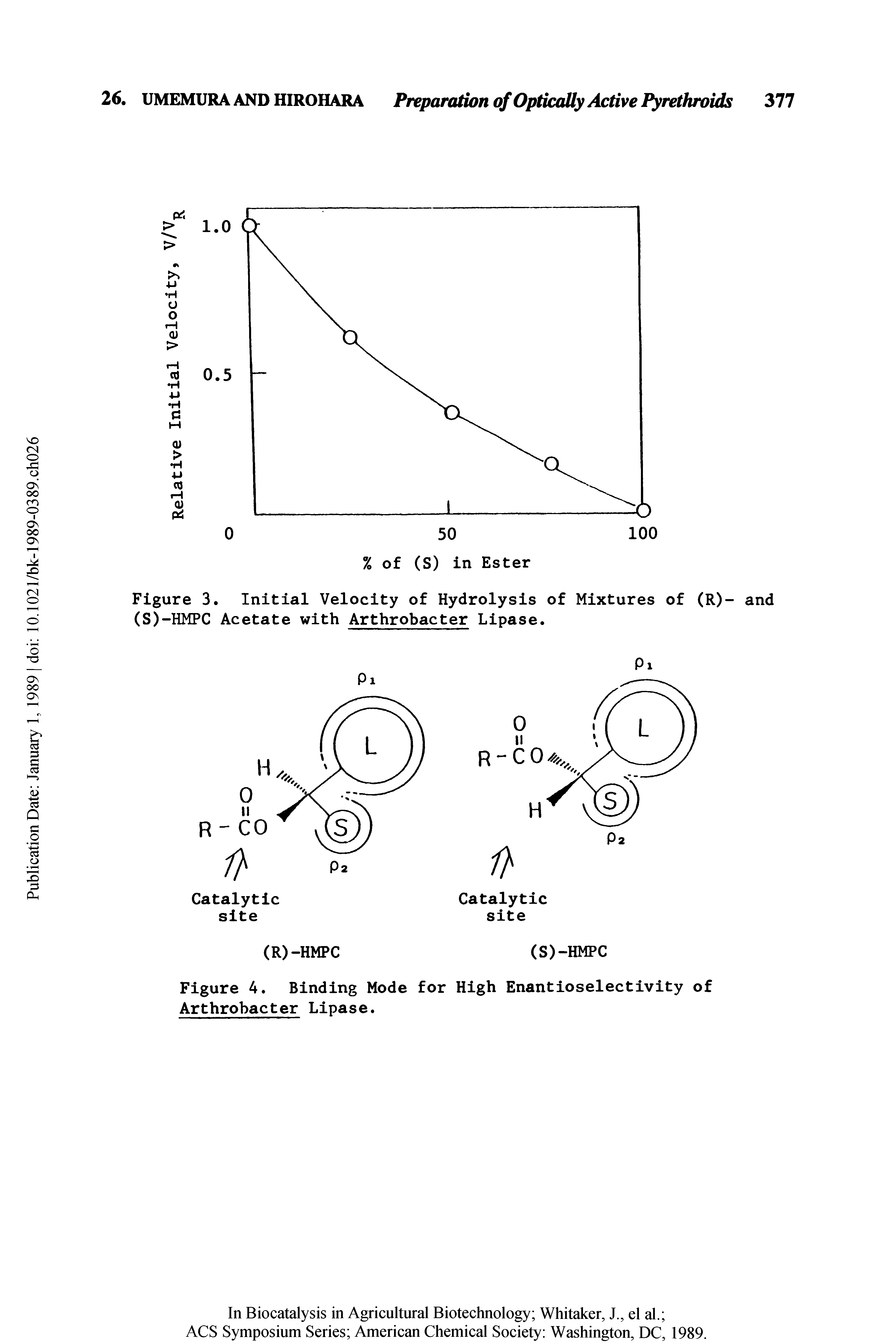 Figure 3. Initial Velocity of Hydrolysis of Mixtures of (R)- and (S)-HMPC Acetate with Arthrobacter Lipase.