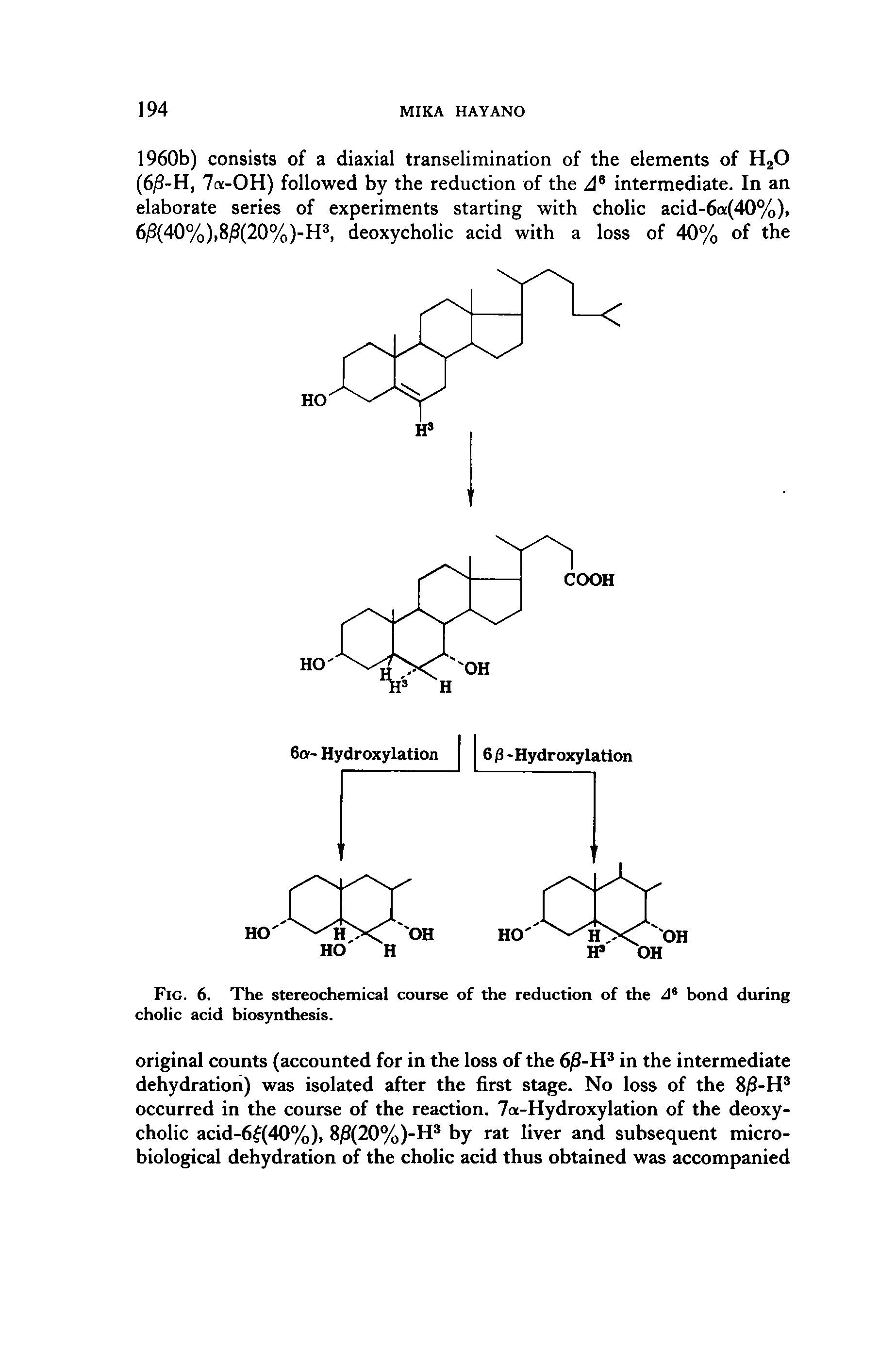 Fig. 6. The stereochemical course of the reduction of the d bond during cholic acid biosynthesis.