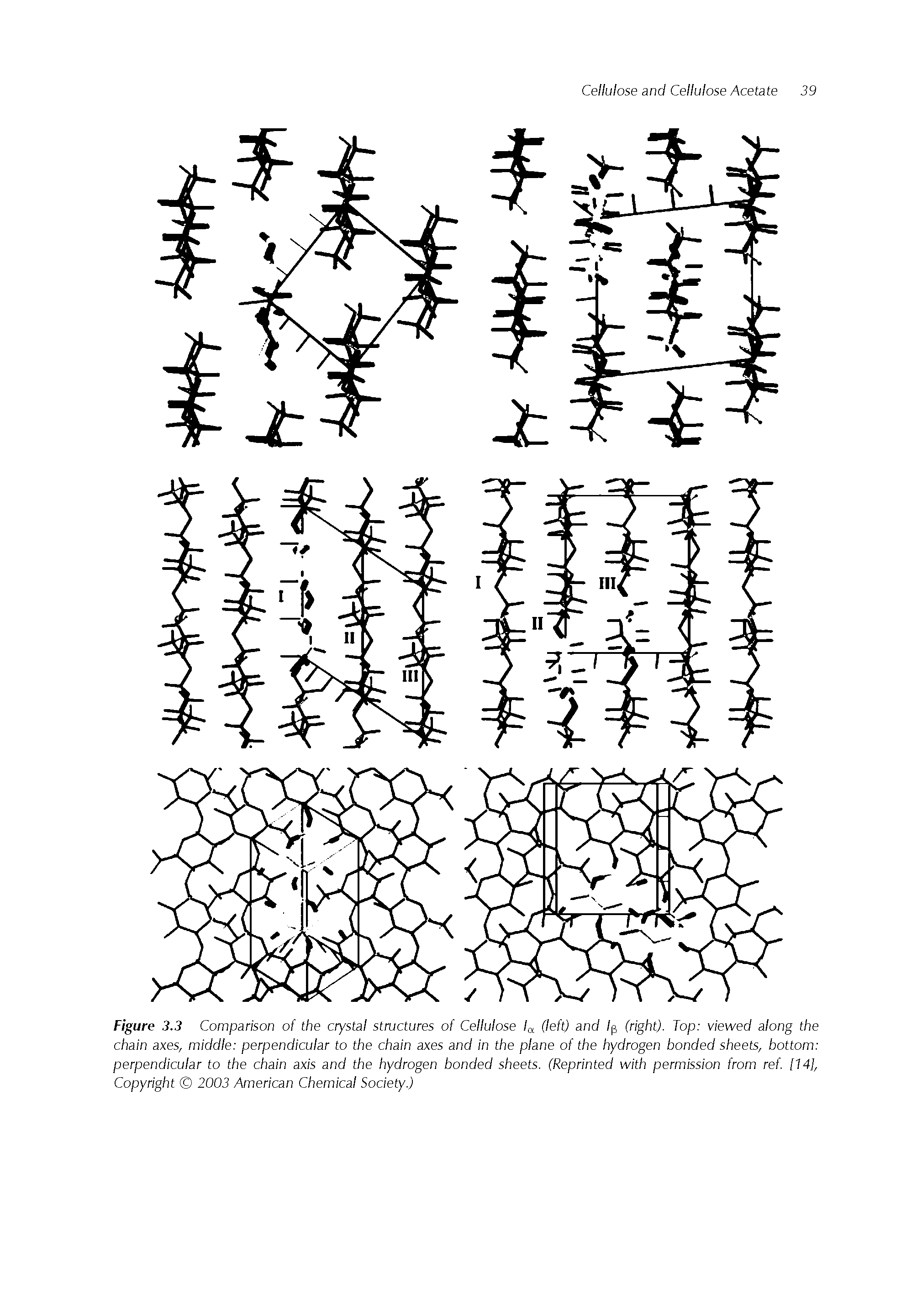 Figure 3.3 Comparison of the crystal structures of Cellulose / (left) and /p (right). Top viewed along the chain axes, middle perpendicular to the chain axes and in the plane of the hydrogen bonded sheets, bottom perpendicular to the chain axis and the hydrogen bonded sheets. (Reprinted with permission from ref. [14], Copyright 2003 American Chemical Society.)...