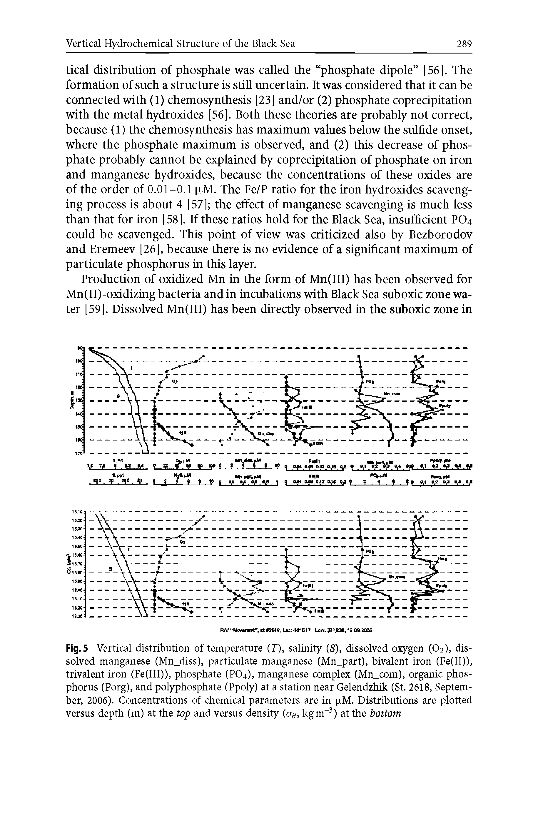 Fig. 5 Vertical distribution of temperature (T), salinity (S), dissolved oxygen (O2), dissolved manganese (Mn diss), particulate manganese (Mn part), bivalent iron (Fe(II)), trivalent iron (Fe(III)), phosphate (P04), manganese complex (Mn com), organic phosphorus (Porg), and polyphosphate (Ppoly) at a station near Gelendzhik (St. 2618, September, 2006). Concentrations of chemical parameters are in xM. Distributions are plotted versus depth (m) at the top and versus density (og, kgm-3) at the bottom...