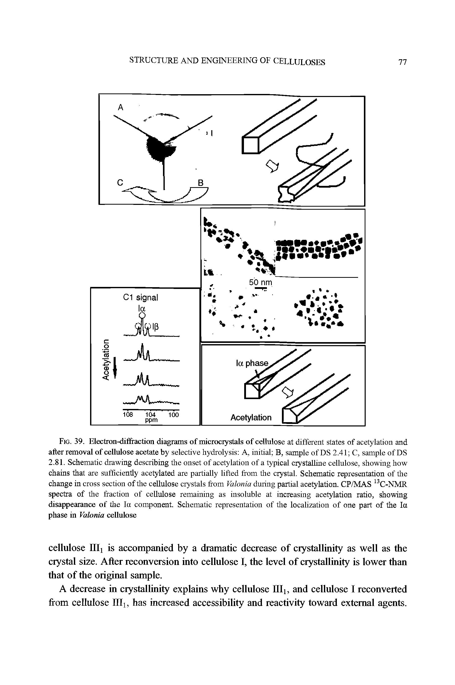 Fig. 39. Electron-diffraction diagrams of microciystals of cellulose at different states of acetylation and after removal of cellulose acetate by selective hydrolysis A, initial B, sample of DS 2.41 C, sample of DS 2.81. Schematic drawing describing the onset of acetylation of a typical crystalline cellulose, showing how chains that are sufficiently acetylated are partially lifted from the crystal. Schematic representation of the change in cross section of the cellulose crystals from Valonia during partial acetylation. CP/MAS C-NMR spectra of the fraction of cellrtlose remaining as insoluble at increasing acetylation ratio, showing disappearance of the la component. Schematic representation of the localization of one part of the la phase in Valonia cellulose...