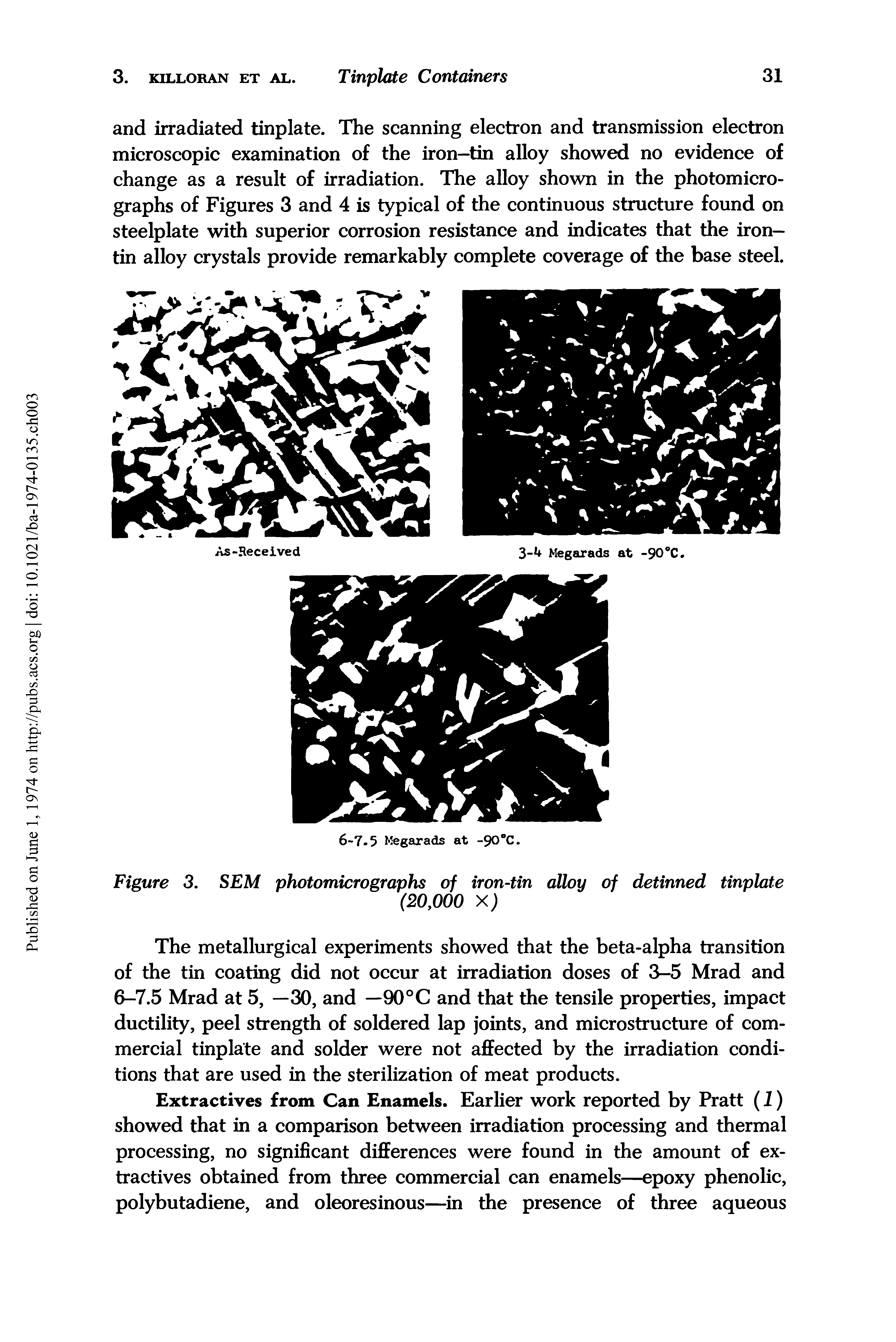 Figure 3. SEM photomicrographs of iron-tin alloy of detinned tinplate...