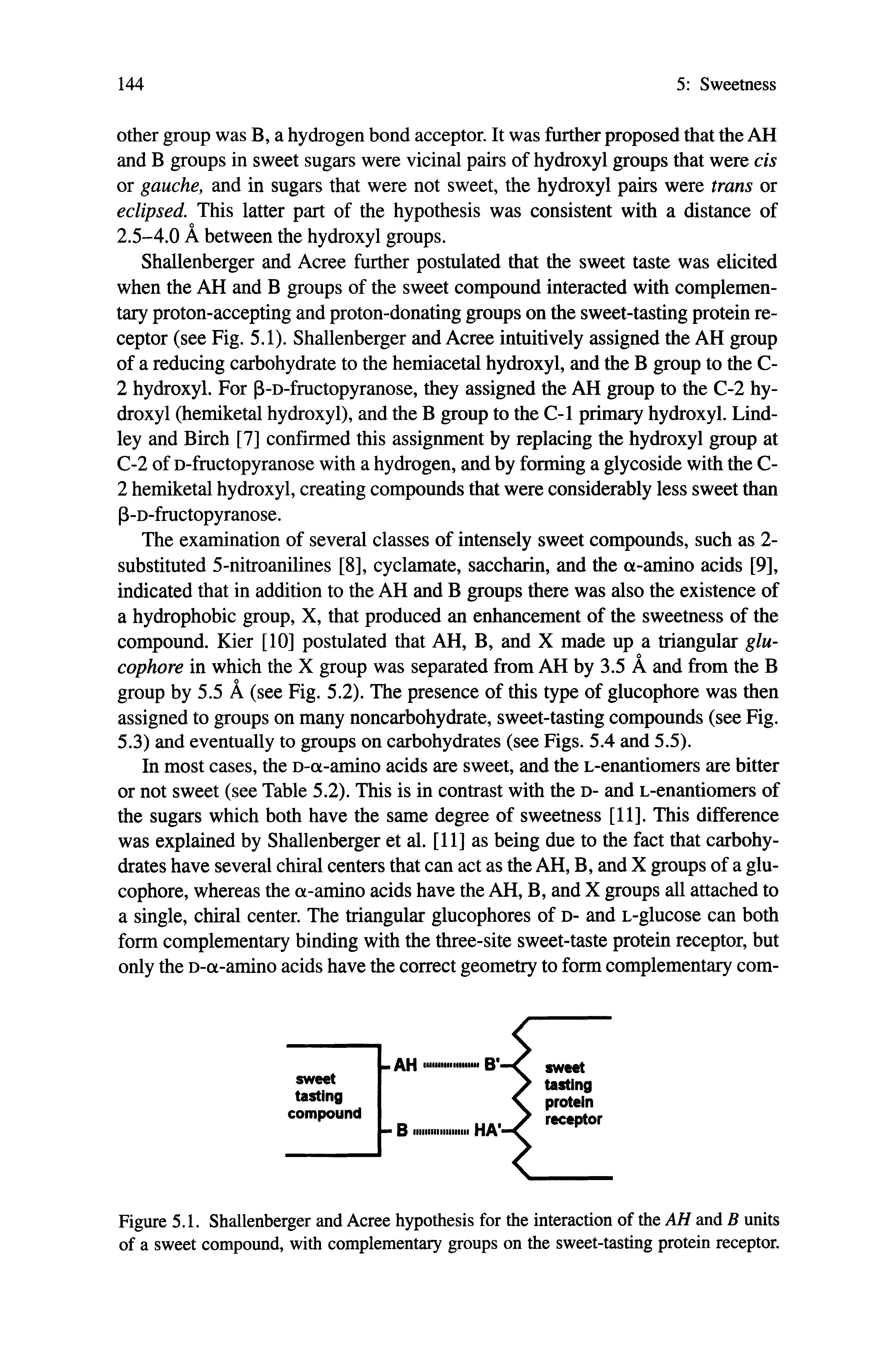 Figure 5.1. Shallenberger and Acree hypothesis for the interaction of the AH and B units of a sweet compound, with complementary groups on the sweet-tasting protein receptor.