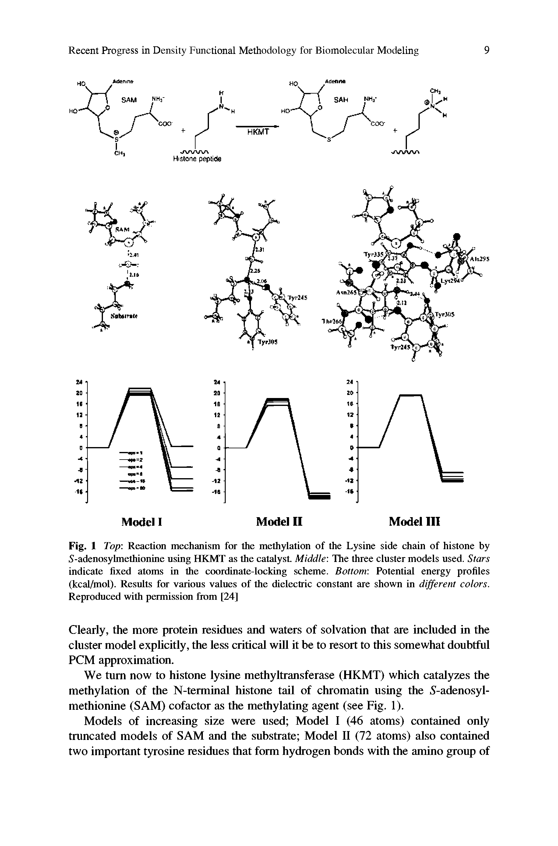 Fig. 1 Top Reaction mechanism for the methylation of the Lysine side chain of histone by 5-adenosyhnethionine using HKMT as the catalyst Middle The three cluster models used. Stars indicate fixed atoms in the coordinate-locking scheme. Bottom Potential energy profiles (kcal/mol). Results for various values of the dielectric constant are shown in different colors. Reproduced with permission from [24]...