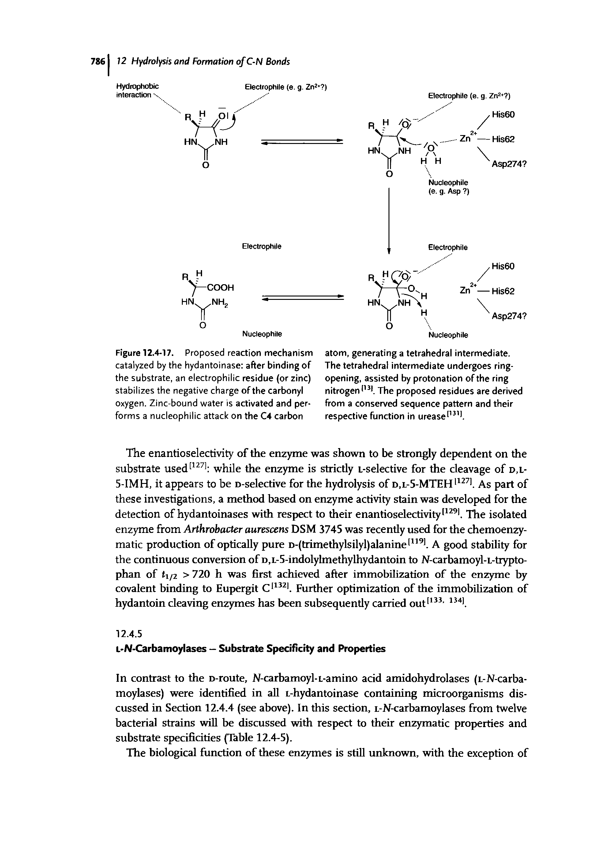 Figure 12.4-17. Proposed reaction mechanism catalyzed by the hydantoinase after binding of the substrate, an electrophilic residue (or zinc) stabilizes the negative charge of the carbonyl oxygen. Zinc-bound water is activated and performs a nucleophilic attack on the C4 carbon...