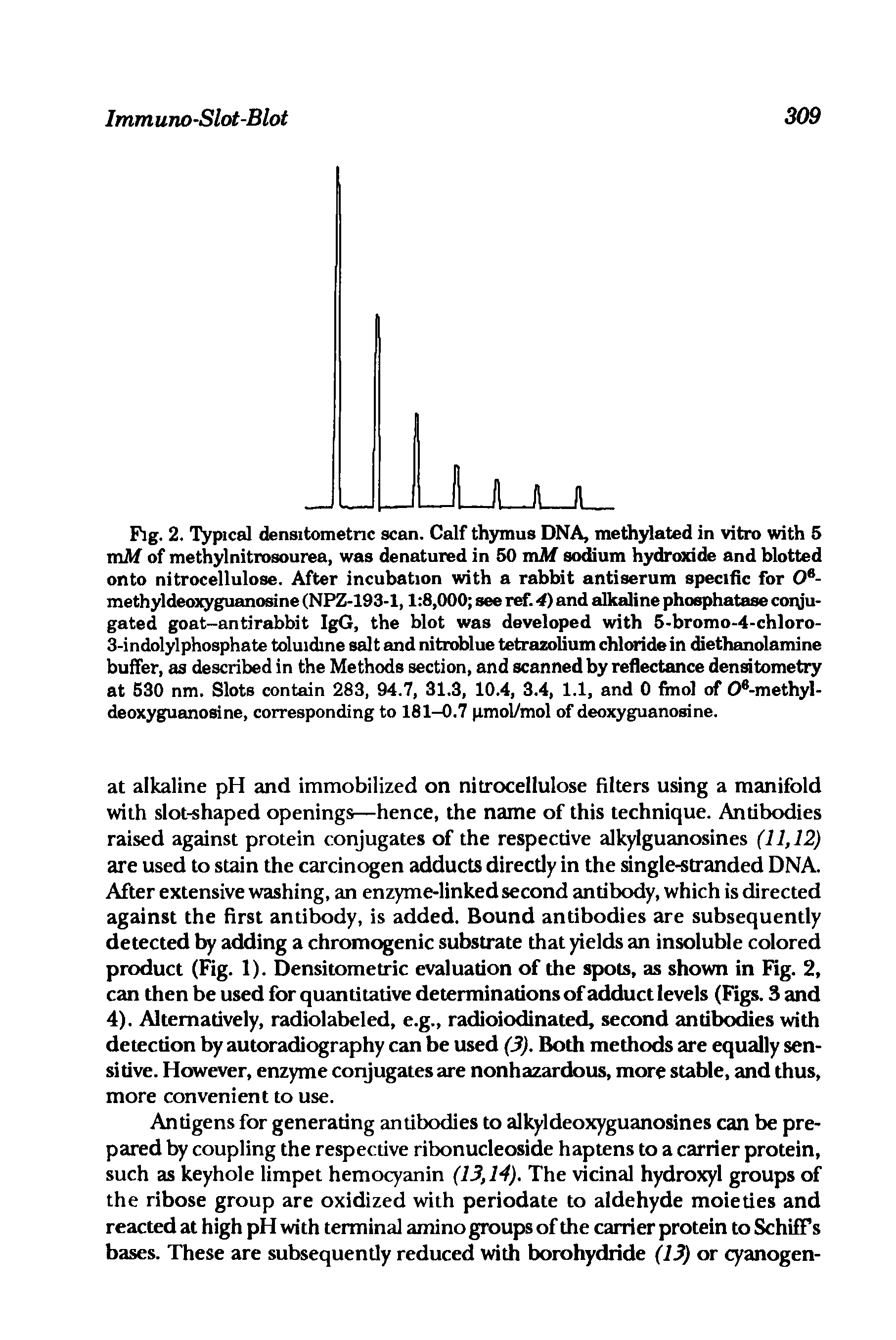 Fig. 2. Typical densitometnc scan. Calf thymus DNA, methylated in vitro with 5 mM of methylnitrosourea, was denatured in 50 mM sodium hydroxide and blotted onto nitrocellulose. After incubation with a rabbit antiserum specific for O -methyldeoiQrguanosine (NPZ-193-1,1 8,000 see ref. 4) and alkaline phosphatase conjugated goat-antirabbit IgG, the blot was developed with 5-bromo-4-chloro-3-indolylphosphate toluidine salt and nitroblue tetrazolium chloride in diethanolamine buffer, as described in the Methods section, and scanned by reflectance densitometry at 530 nm. Slots contain 283, 94.7, 31.3, 10.4, 3.4, 1.1, and 0 fmol of 0 -methyl-deoxyguanosine, corresponding to 181-0.7 pmol/mol of deoxyguanosine.