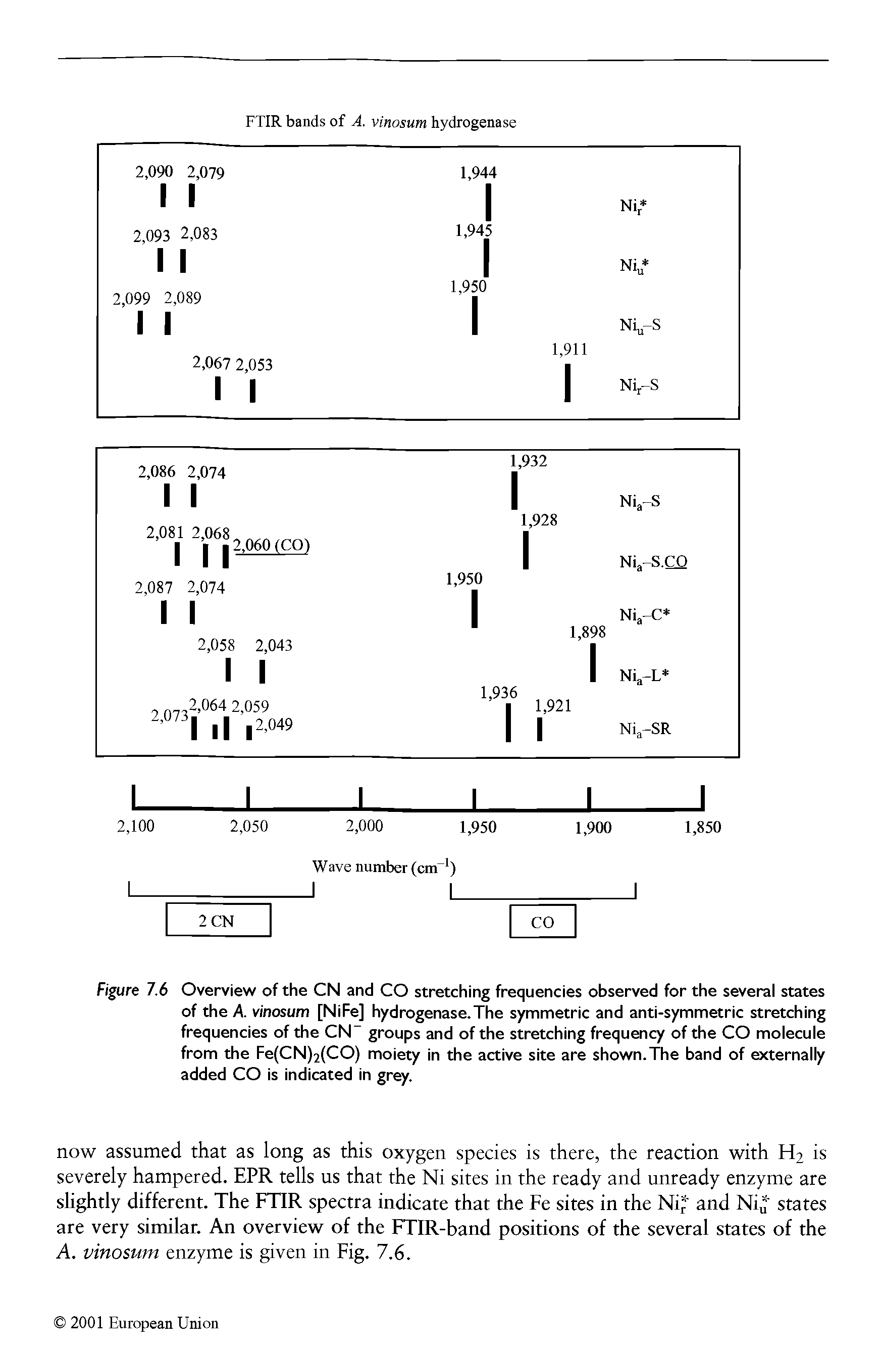 Figure 7.6 Overview of the CN and CO stretching frequencies observed for the several states of the A. vinosum [NiFe] hydrogenase.The symmetric and anti-symmetric stretching frequencies of the CN groups and of the stretching frequency of the CO molecule from the Fe(CN)2(CO) moiety in the active site are shown.The band of externally added CO is indicated in grey.