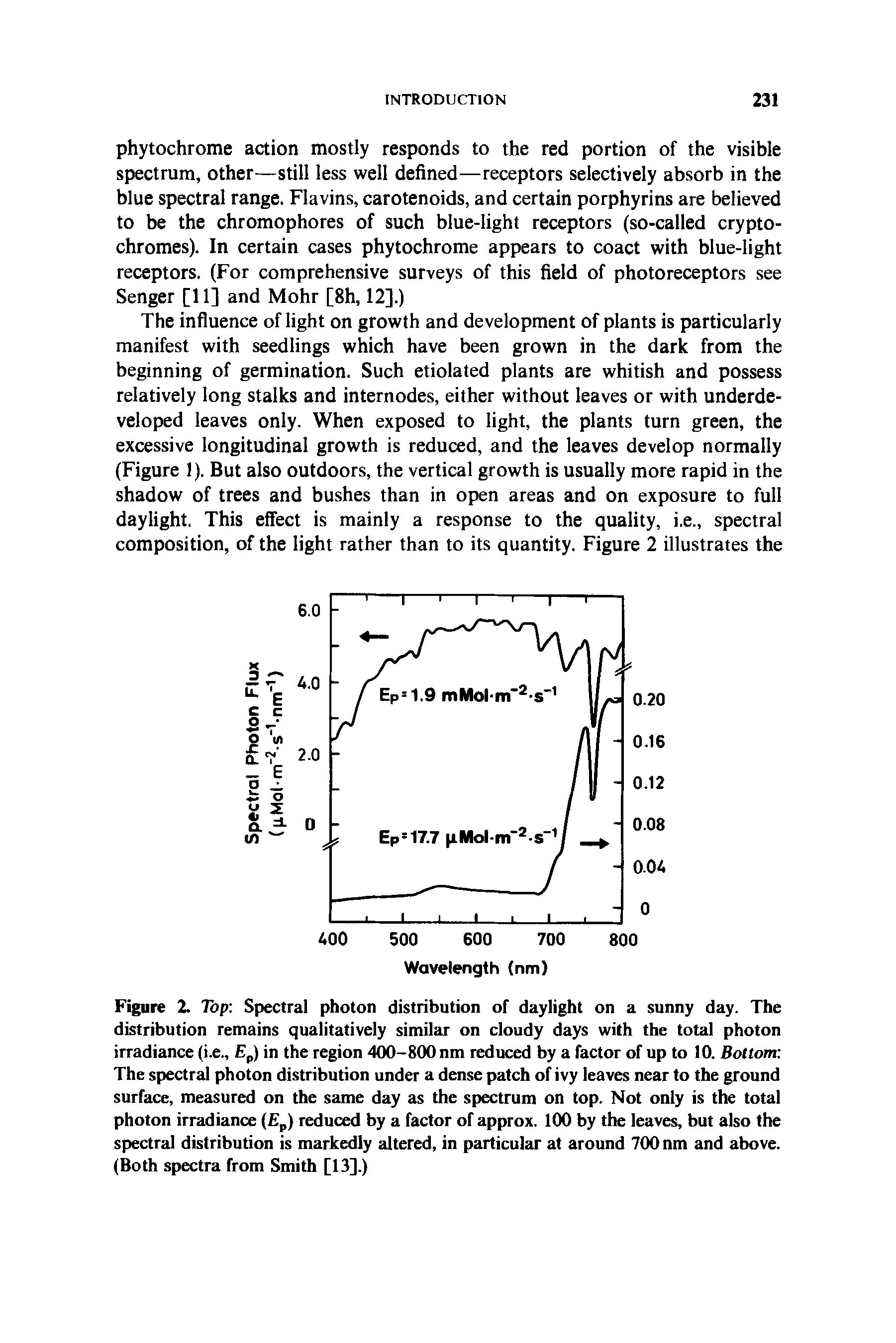 Figure 2. Top Spectral photon distribution of daylight on a sunny day. The distribution remains qualitatively similar on cloudy days with the total photon irradiance (i.e., Ep) in the region 400-800 nm reduced by a factor of up to 10. Bottom The spectral photon distribution under a dense patch of ivy leaves near to the ground surface, measured on the same day as the spectrum on top. Not only is the total photon irradiance (Ep) reduced by a factor of approx. 100 by the leaves, but also the spectral distribution is markedly altered, in particular at around 700 nm and above. (Both spectra from Smith [13].)...