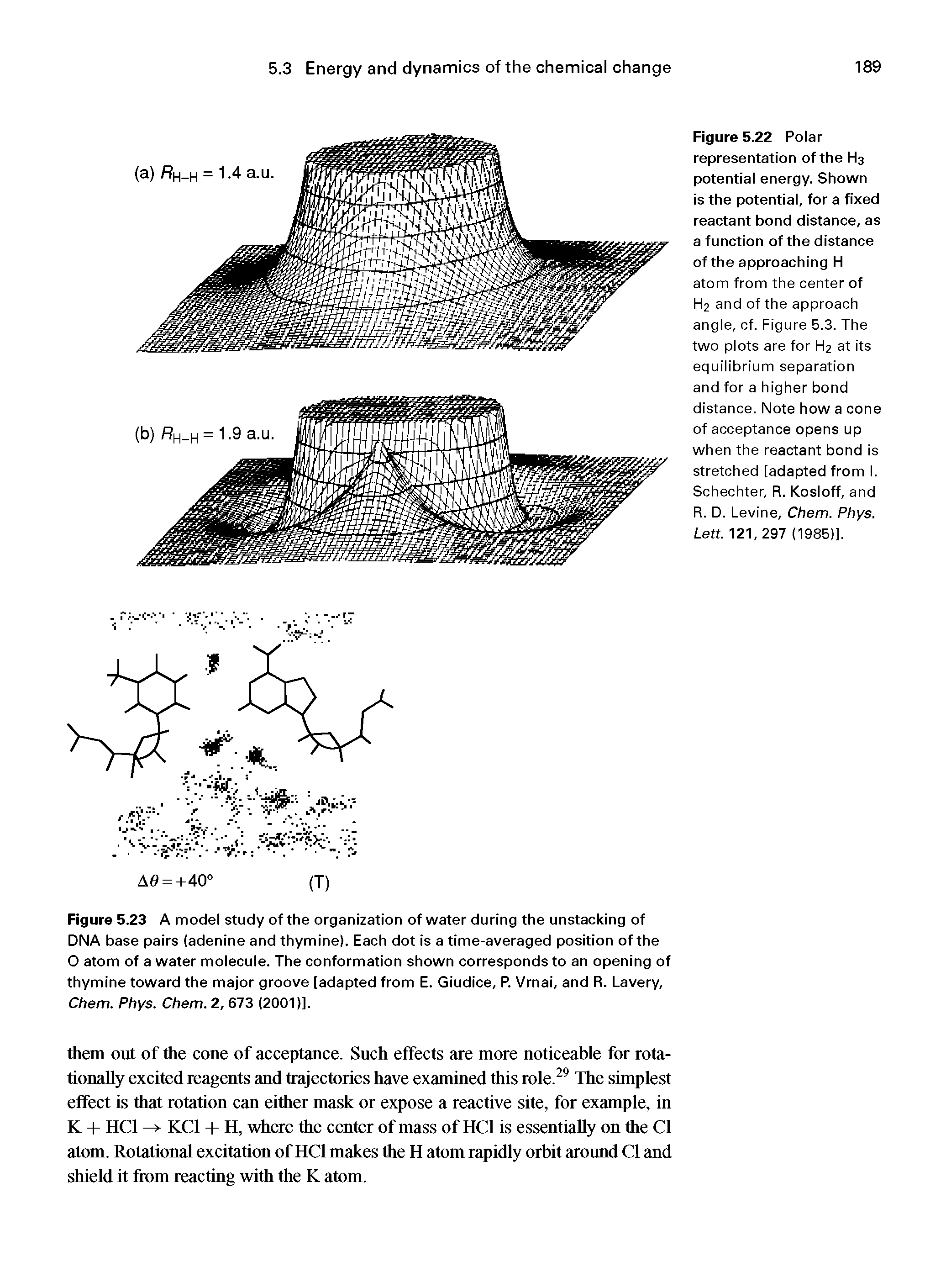 Figure 5.23 A model study of the organization of water during the unstacking of DNA base pairs (adenine and thymine). Each dot is a time-averaged position of the O atom of a water molecule. The conformation shown corresponds to an opening of thymine toward the major groove [adapted from E. Giudice, P. Vrnai, and R. Lavery, Chem. Phys. Chem. 2, 673 (2001)].