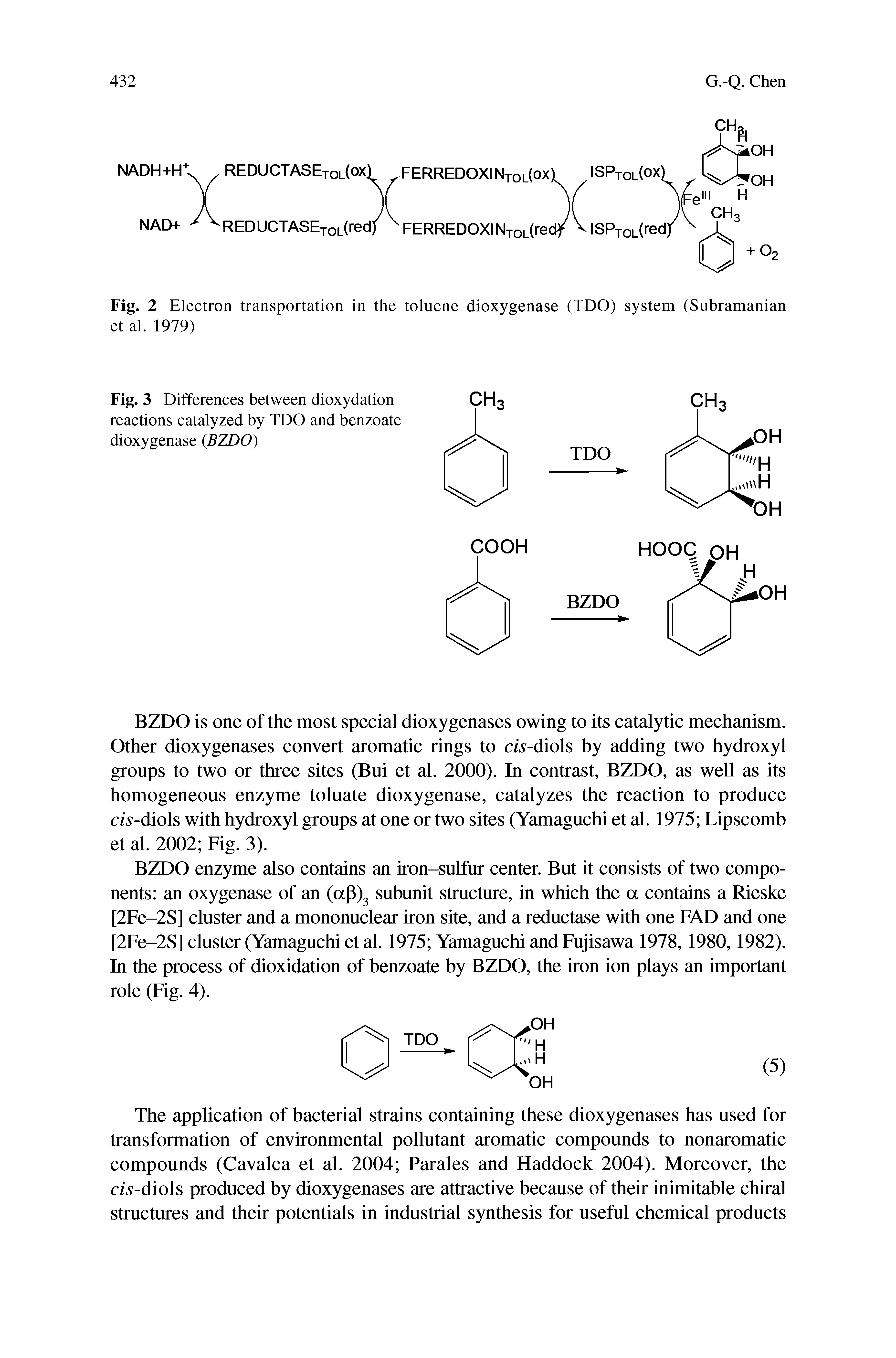 Fig. 3 Differences between dioxydation reactions catalyzed by TDO and benzoate dioxygenase (BZDO)...