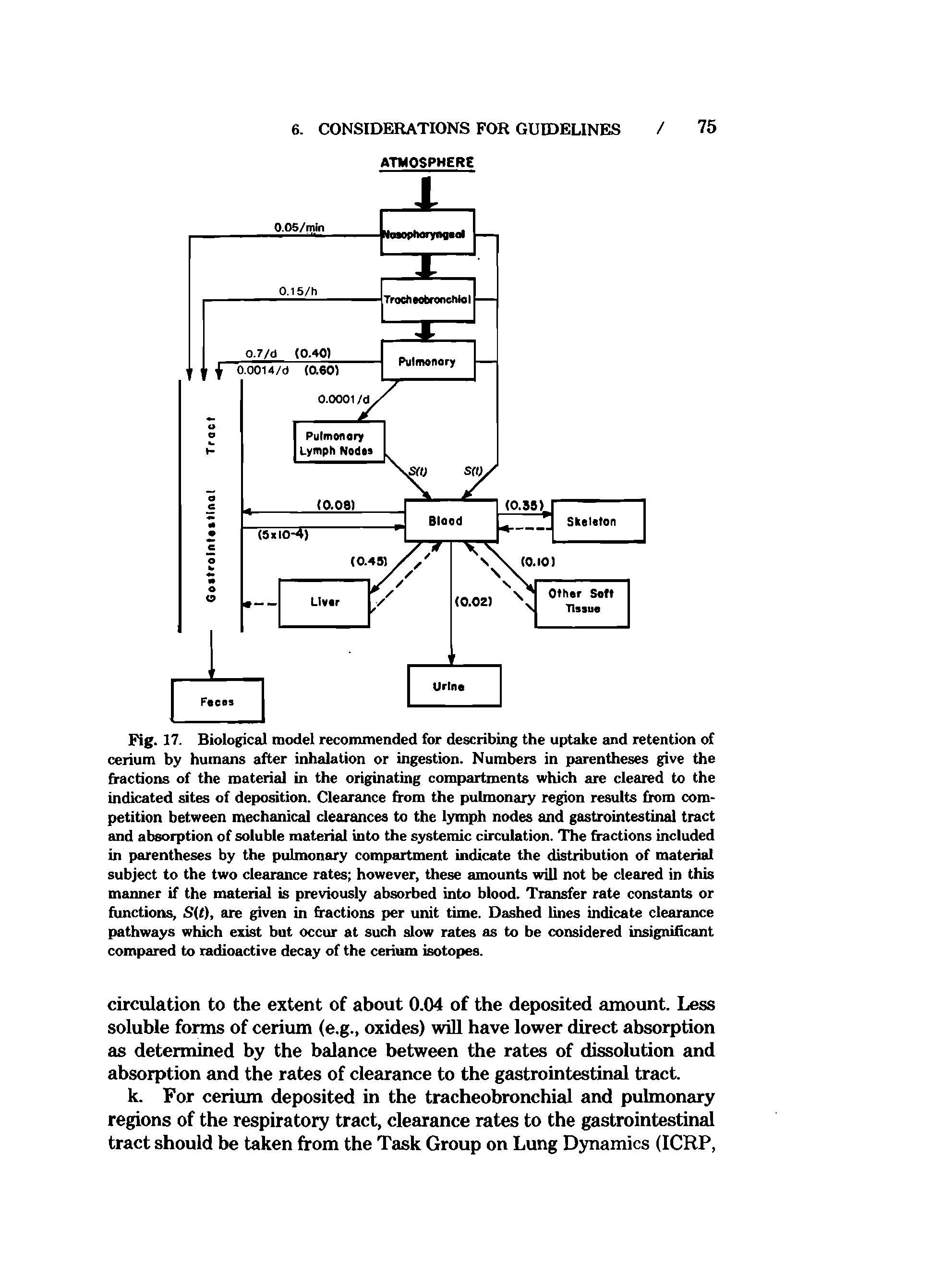 Fig. 17. Biological model recommended for describing the uptake and retention of cerium by humans after inhalation or ingestion. Numbers in parentheses give the fractions of the material in the originating compartments which are cleared to the indicated sites of deposition. Clearance from the pulmonary region results from competition between mechanical clearances to the lymph nodes and gastrointestinal tract and absorption of soluble material into the systemic circulation. The fractions included in parentheses by the pulmonary compartment indicate the distribution of material subject to the two clearance rates however, these amounts will not be cleared in this manner if the material is previously absorbed into blood. Transfer rate constants or functions, S(t), are given in fractions per unit time. Dashed lines indicate clearance pathways which exist but occur at such slow rates as to be considered insignificant compared to radioactive decay of the cerium isotopes.