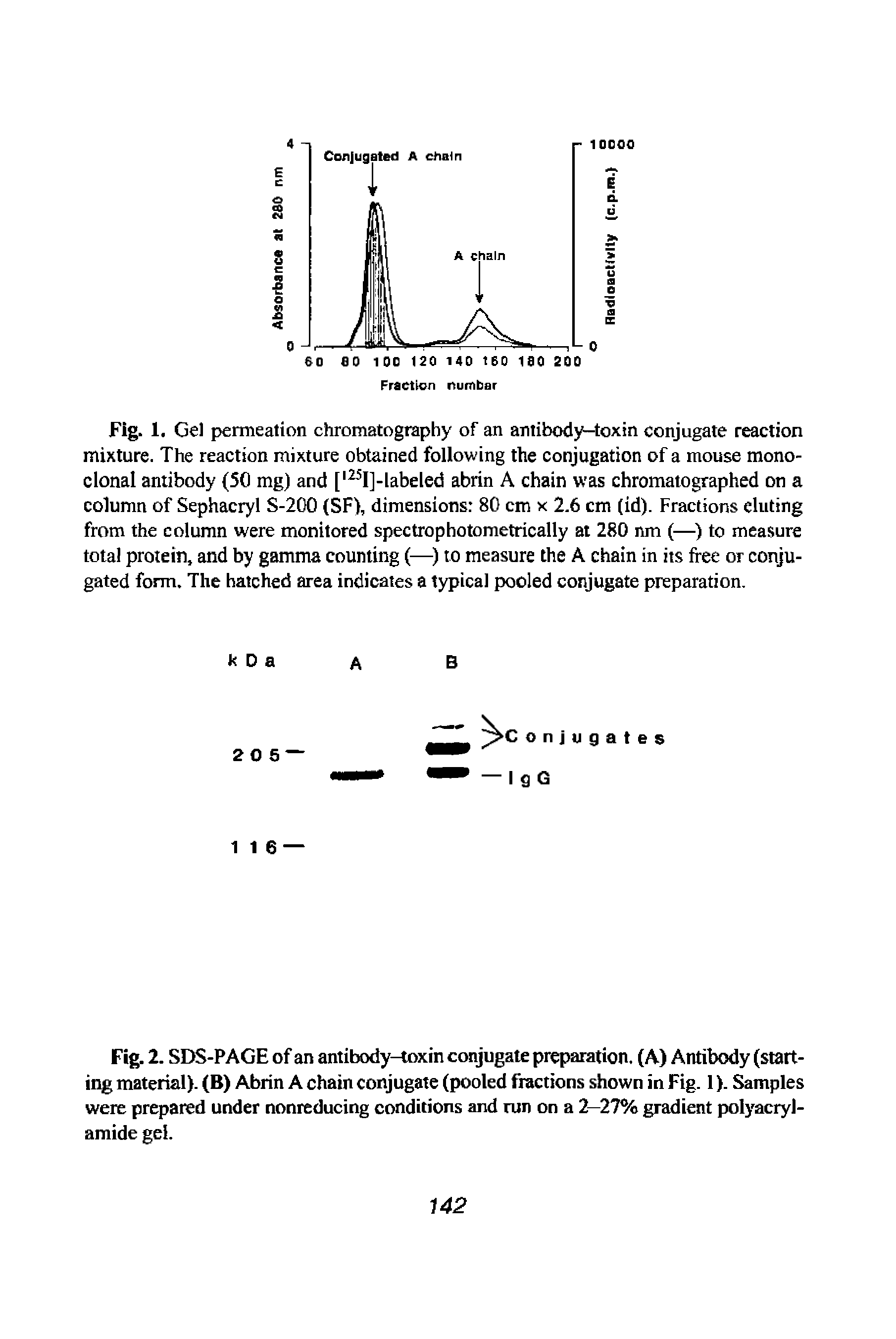 Fig. 1. Gel permeation chromatography of an antibody-toxin conjugate reaction mixture. The reaction mixture obtained following the conjugation of a mouse monoclonal antibody (50 mg) and [l25I]-labeled abrin A chain was chromatographed on a column of Sephacryl S-200 (SF), dimensions 80 cm x 2.6 cm (id). Fractions eluting from the column were monitored spectrophotometrically at 280 nm (—) to measure total protein, and by gamma counting (—) to measure the A chain in its free or conjugated form. The hatched area indicates a typical pooled conjugate preparation.