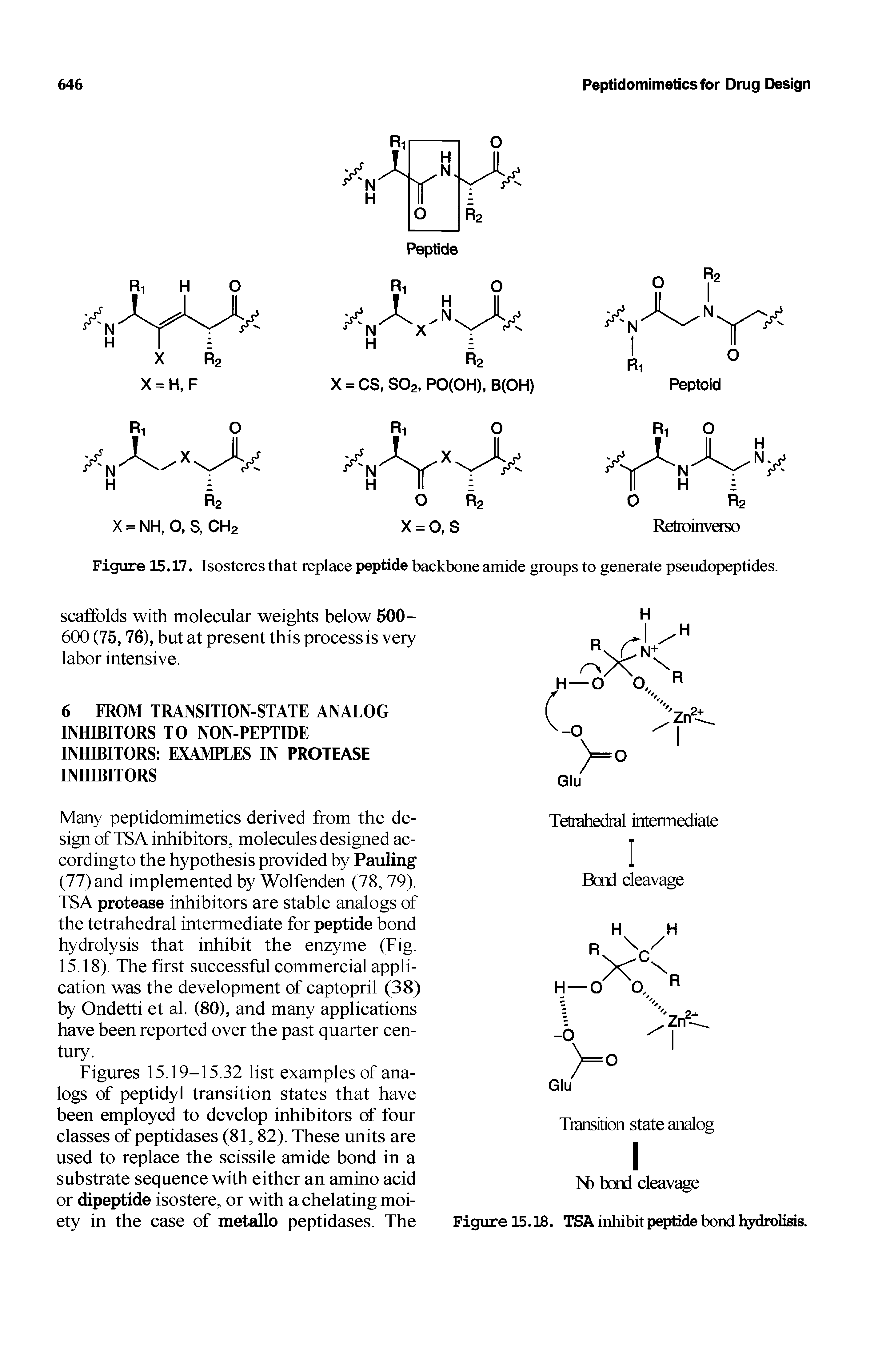 Figures 15.19-15.32 list examples of analogs of peptidyl transition states that have been employed to develop inhibitors of four classes of peptidases (81,82). These units are used to replace the scissile amide bond in a substrate sequence with either an amino acid or dipeptide isostere, or with a chelating moiety in the case of metallo peptidases. The...