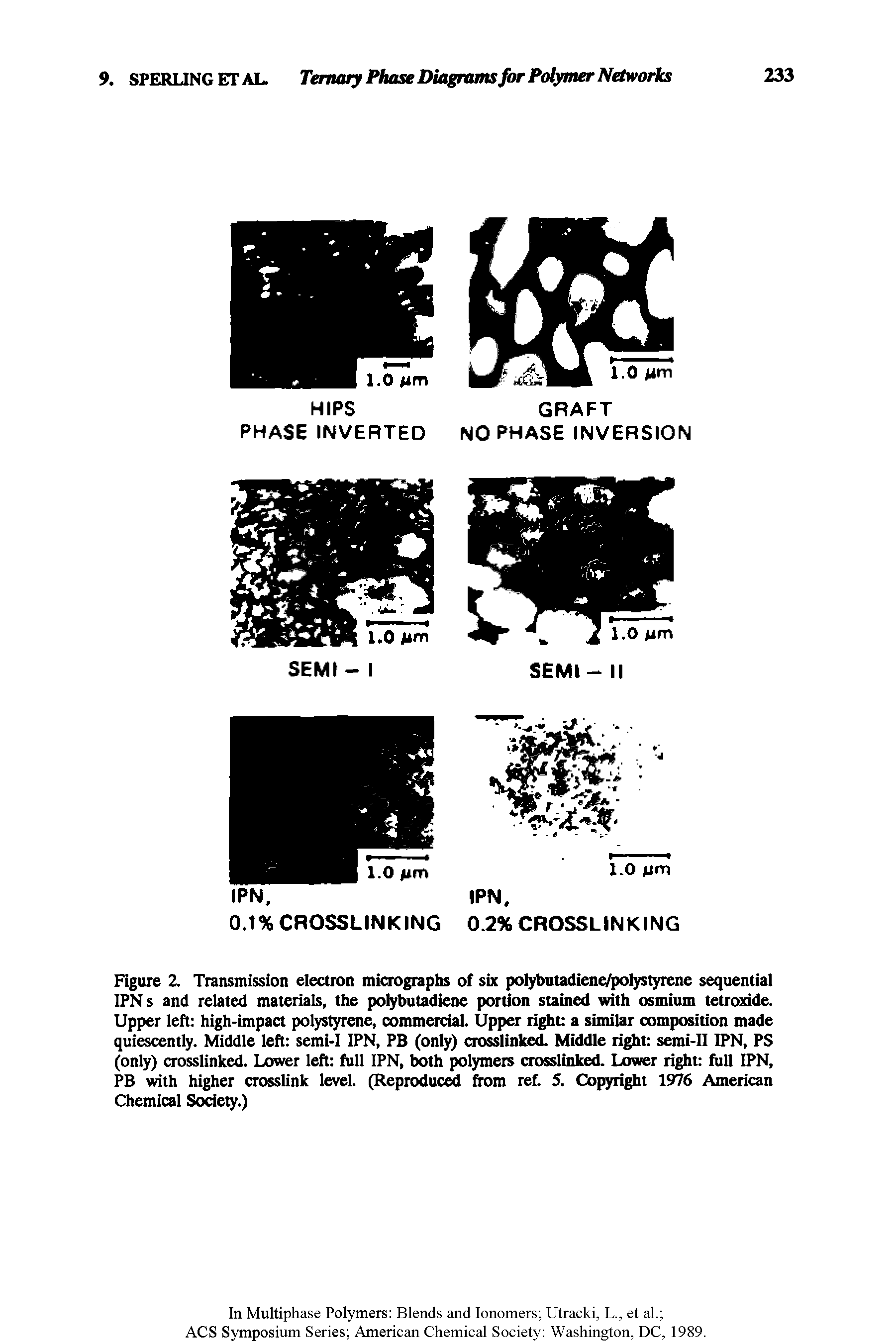 Figure 2. Transmission electron micrographs of six polybutadiene/polystyrene sequential IPN s and related materials, the polybutadiene portion stained with osmium tetroxide. Upper left high-impact polystyrene, commerciaL Upper right a similar composition made quiescently. Middle left semi-I IPN, PB (only) crosslinked. Middle right semi-II IPN, PS (only) crosslinked. Lower left full IPN, both polymers crosslinked. Lower right full IPN, PB with higher crosslink level. (Reproduce from ref. 5. Copyright 1976 American Chemical Society.)...