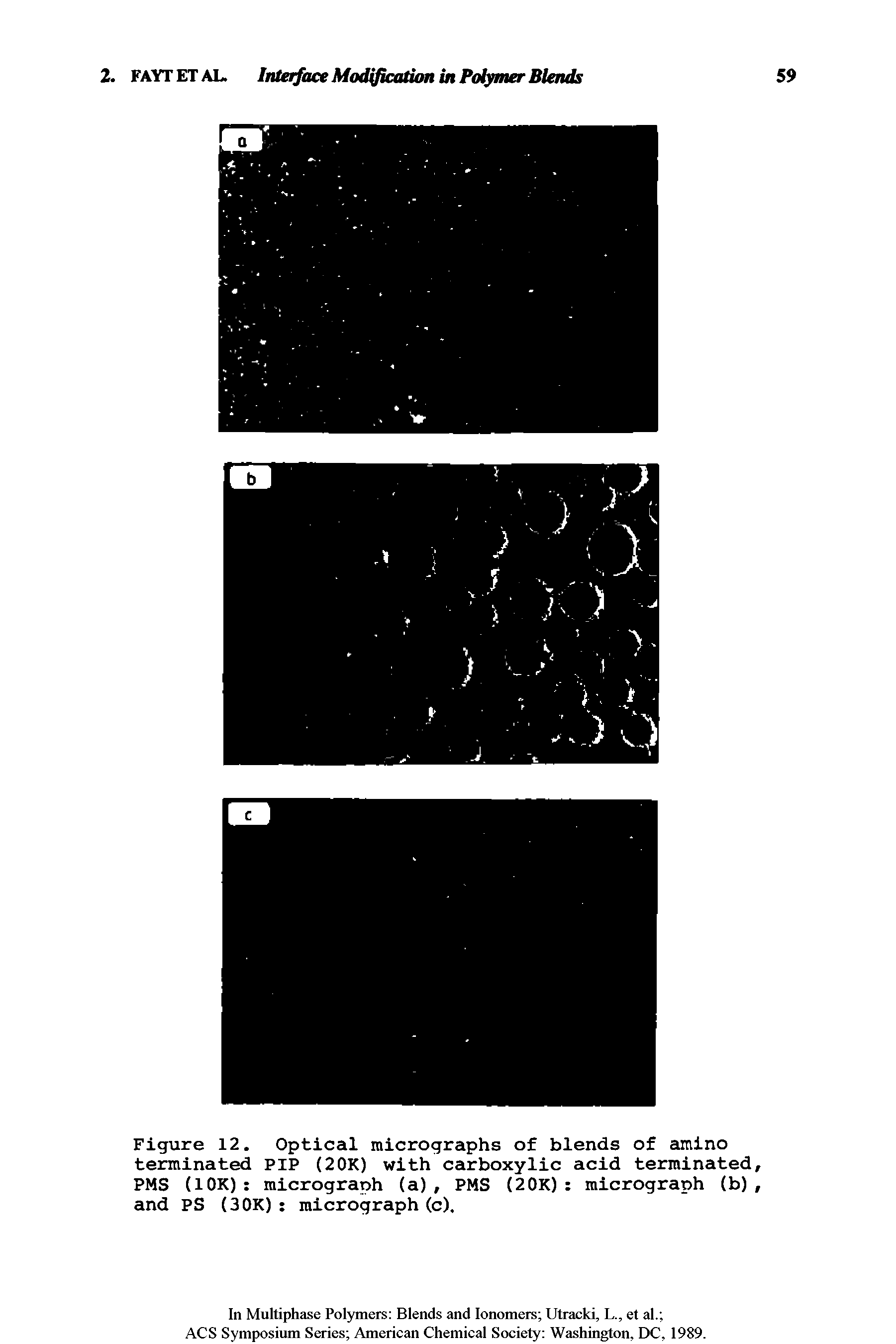 Figure 12. Optical micrographs of blends of amino terminated PIP (2OK) with carboxylic acid terminated, PMS (lOK) micrograph (a), PMS (20K) micrograph (b), and PS (3 OK) micrograph (c).