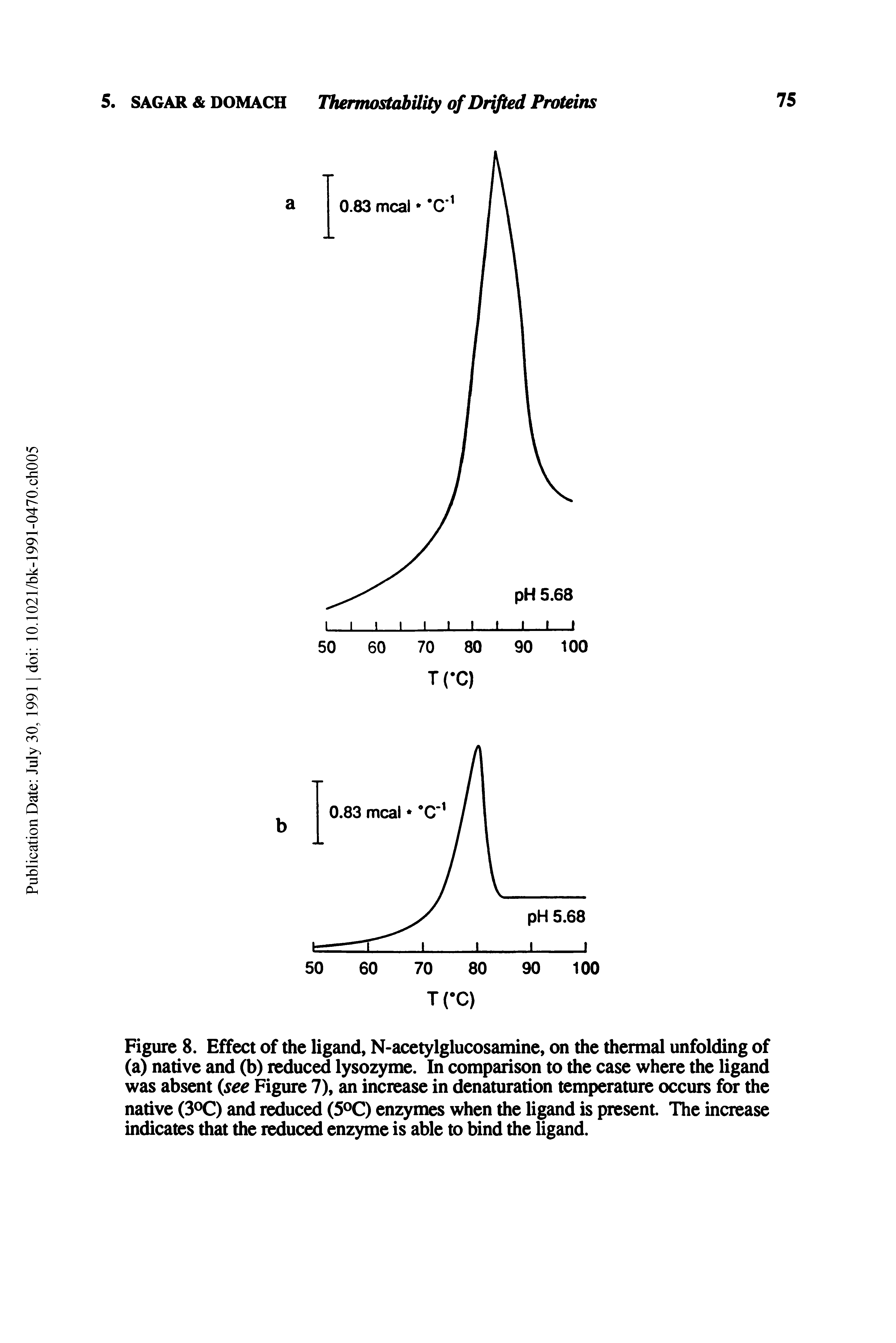 Figure 8. Effect of the ligand, N-acetylglucosamine, on the thermal unfolding of (a) native and (b) reduced lysozyme. In comparison to the case where the ligand was absent see Figure 7), an increase in denaturation temperature occurs for the native (S C) and reduced (5 0 enzymes when the ligand is present. The increase indicates that the reduced enzyme is able to bind the ligand.