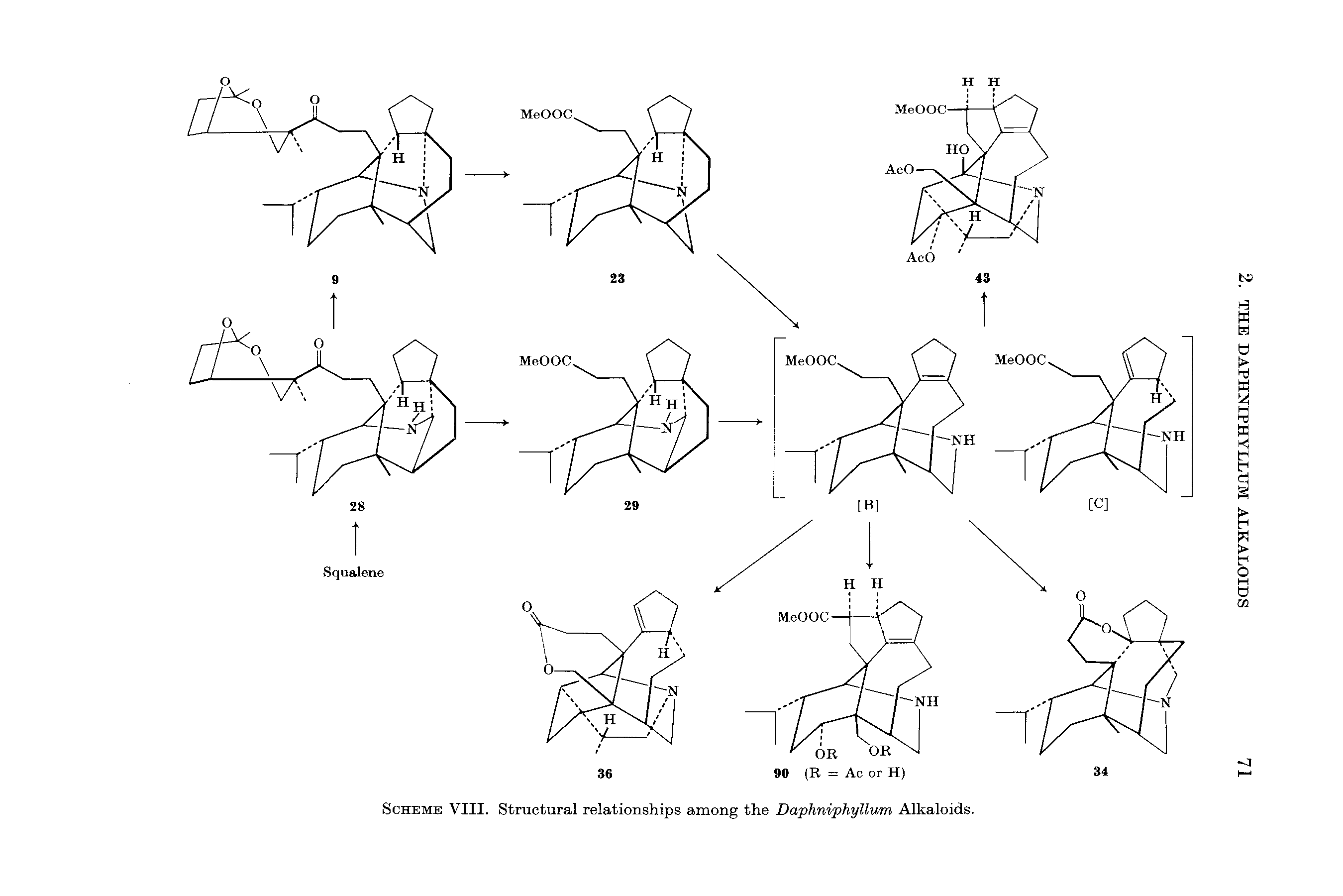 Scheme VIII. Structural relationships among the Daphniphyllum Alkaloids.