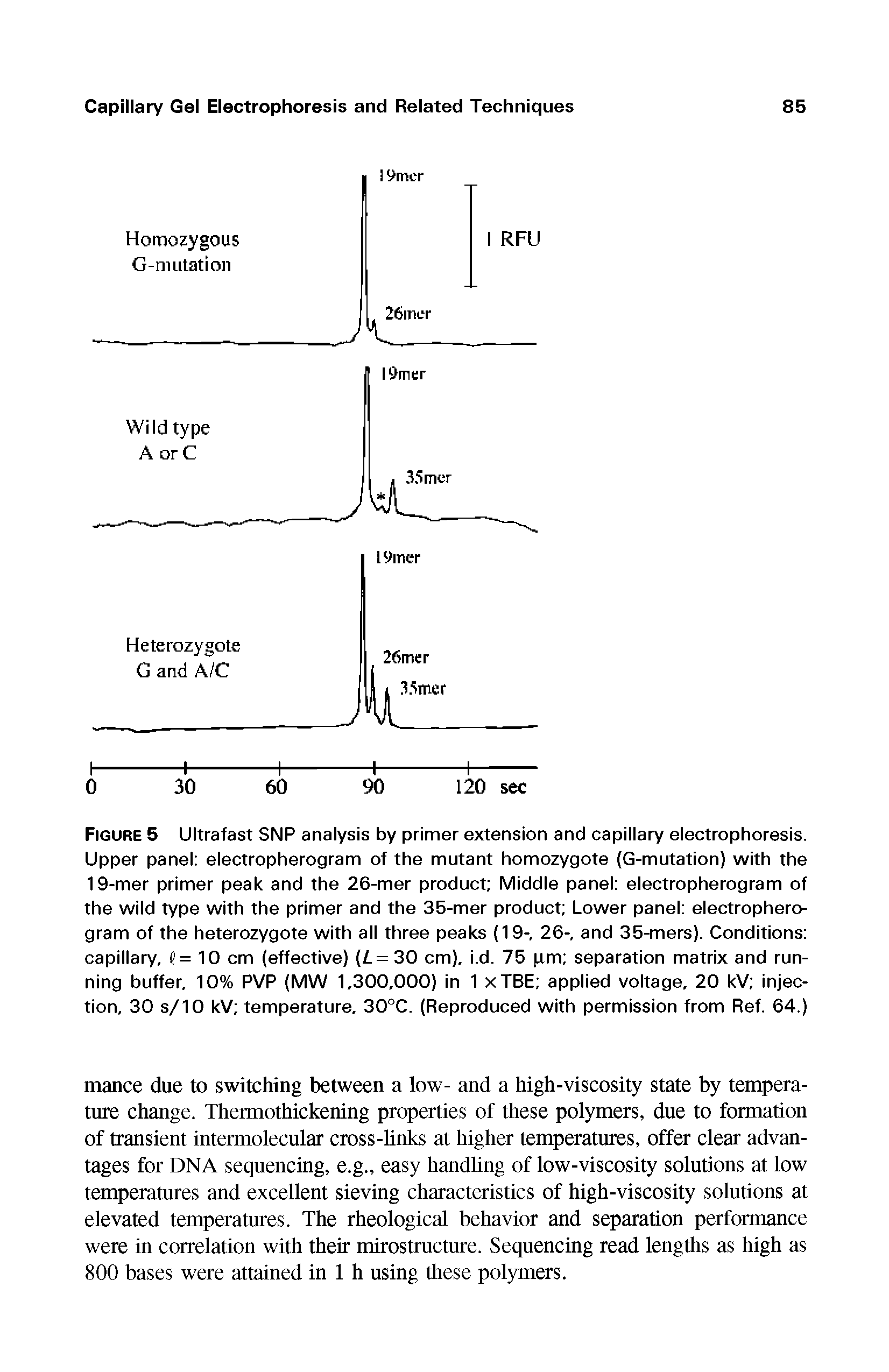 Figure 5 Ultrafast SNP analysis by primer extension and capillary electrophoresis. Upper panel electropherogram of the mutant homozygote (G-mutation) with the 19-mer primer peak and the 26-mer product Middle panel electropherogram of the wild type with the primer and the 35-mer product Lower panel electropherogram of the heterozygote with all three peaks (19-, 26-, and 35-mers). Conditions capillary, = 10 cm (effective) (L = 30 cm), i.d. 75 pm separation matrix and running buffer, 10% PVP (MW 1,300,000) in 1 xTBE applied voltage, 20 kV injection, 30 s/10 kV temperature, 30°C. (Reproduced with permission from Ref. 64.)...