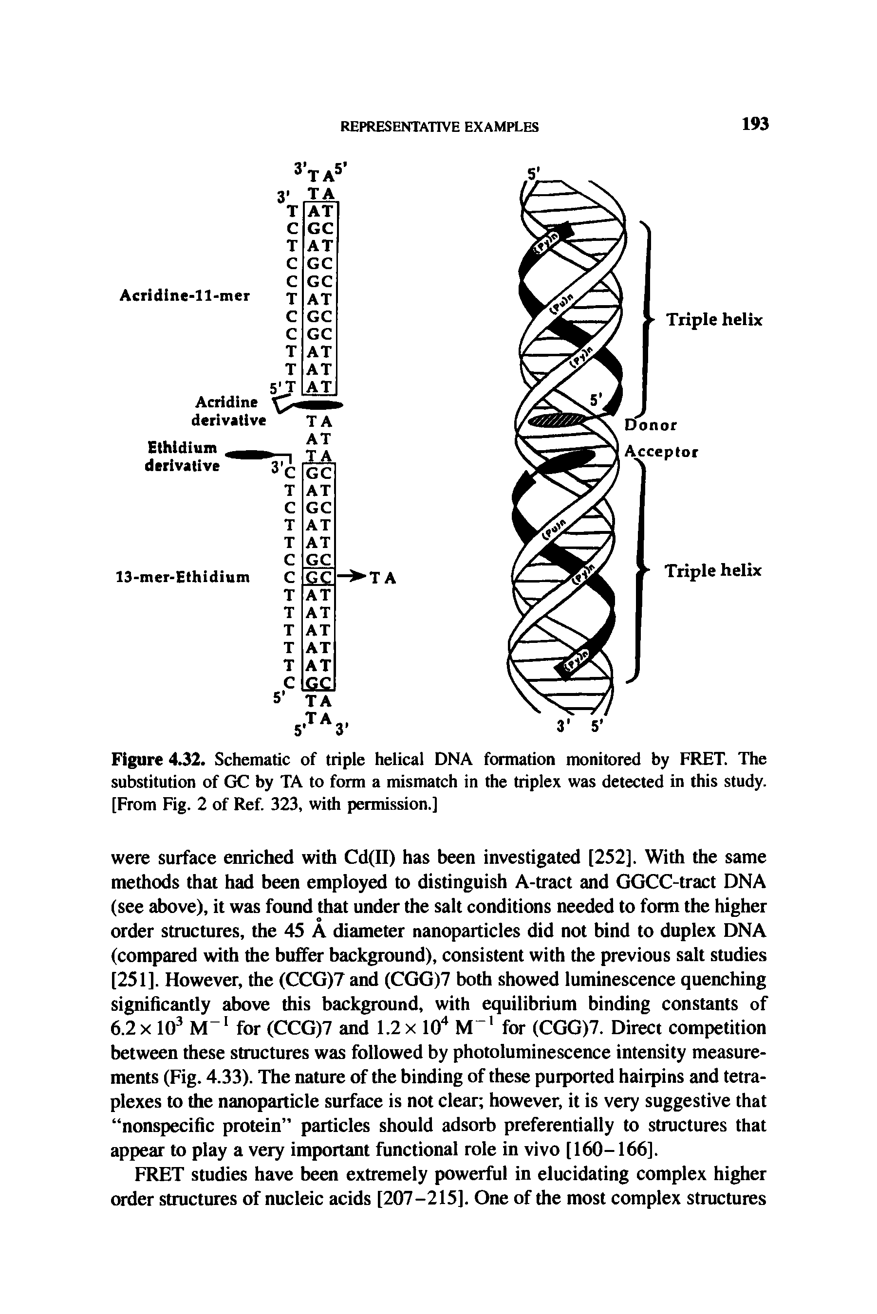 Figure 4.32. Schematic of triple helical DNA formation monitored by FRET. The substitution of GC by TA to form a mismatch in the triplex was detected in this study. [From Fig. 2 of Ref. 323, with permission.]...